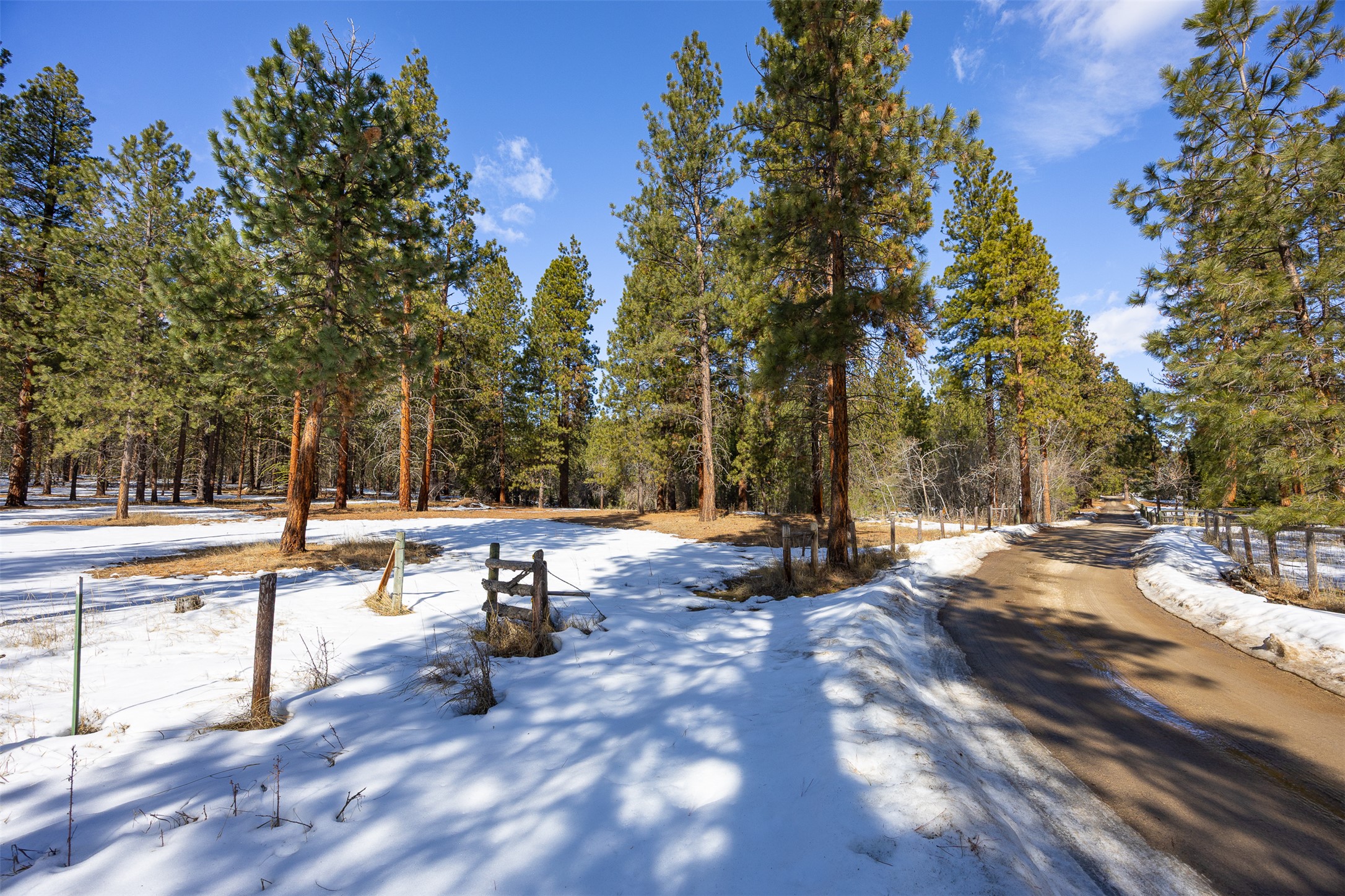 1658 Pleasant View Drive Property Photo