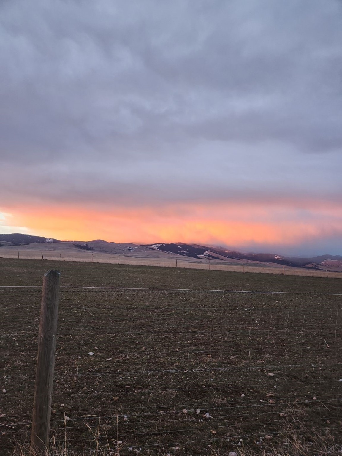 2 Sharptail Lane Property Photo 50