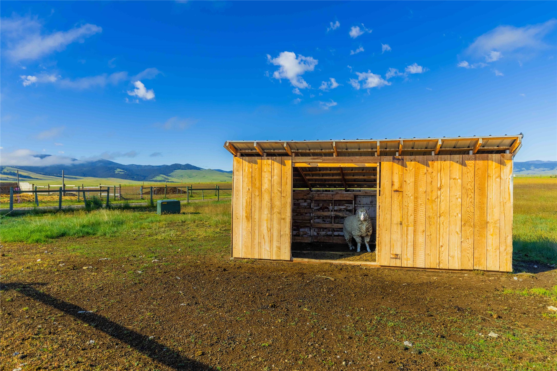 2 Sharptail Lane Property Photo 51