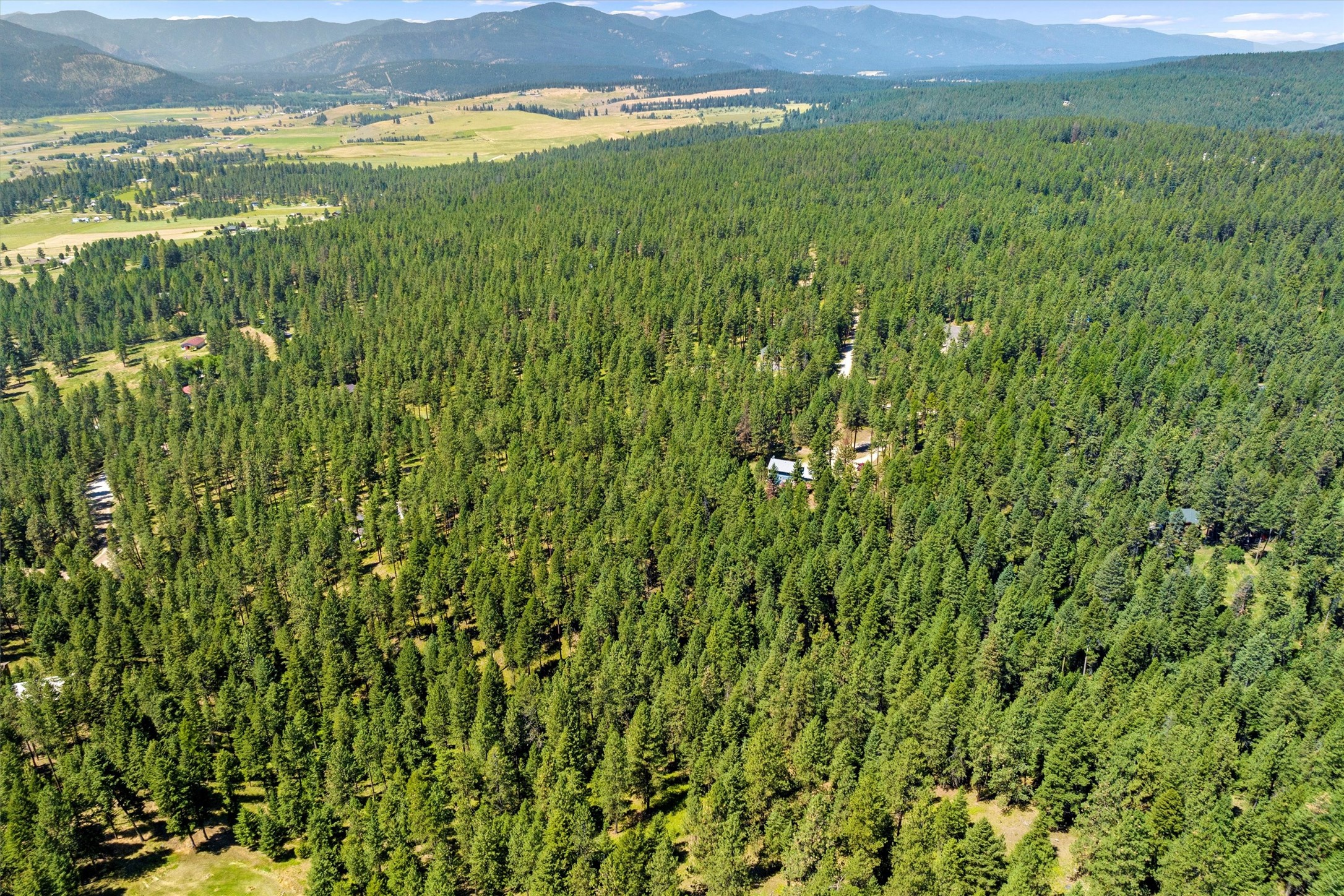 19025 Arabian Lane Property Photo 52