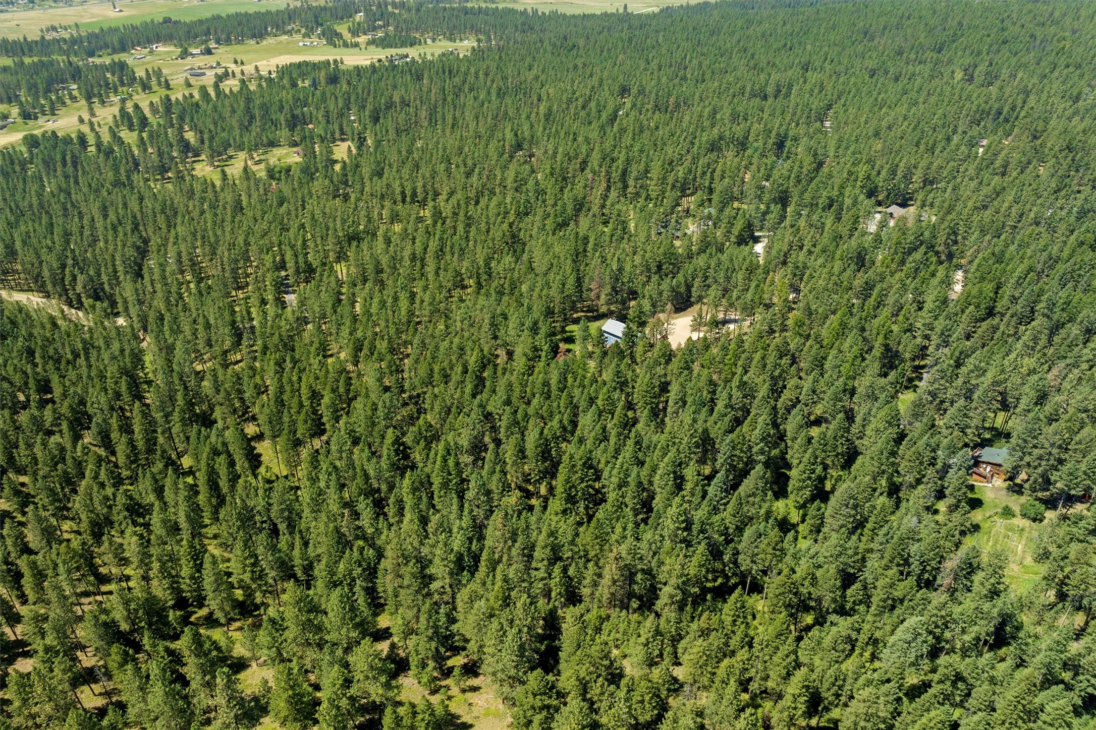 19025 Arabian Lane Property Photo 53
