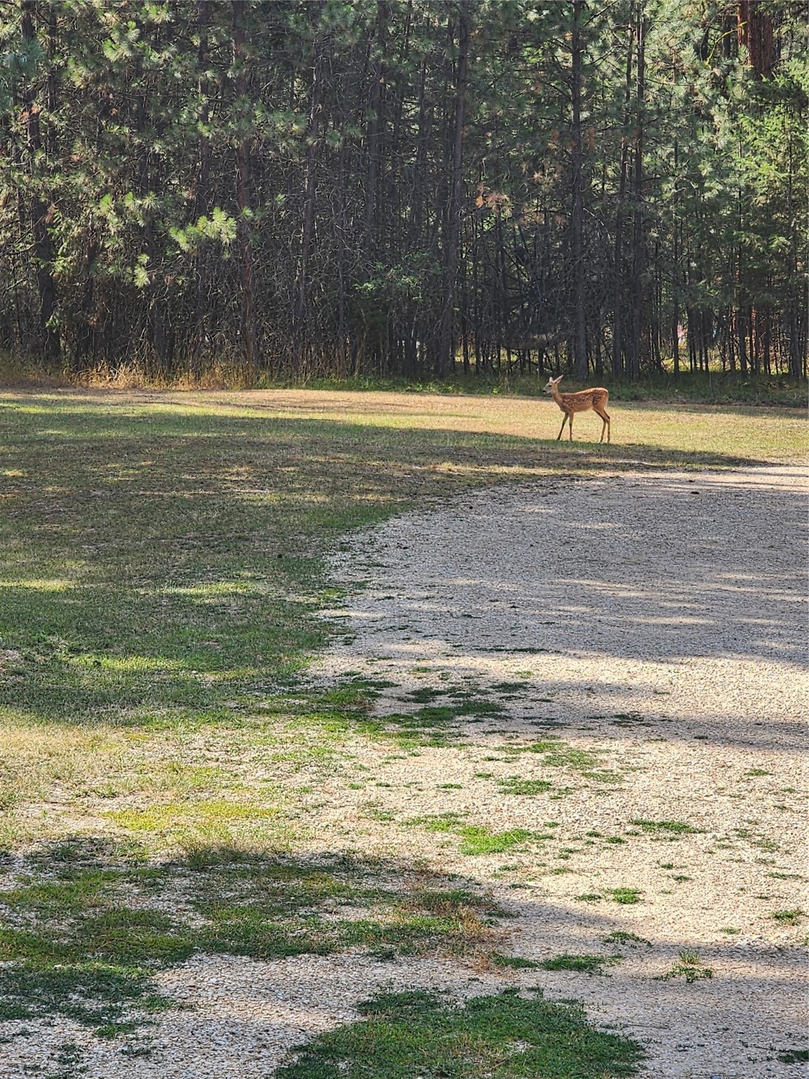 19025 Arabian Lane Property Photo 58