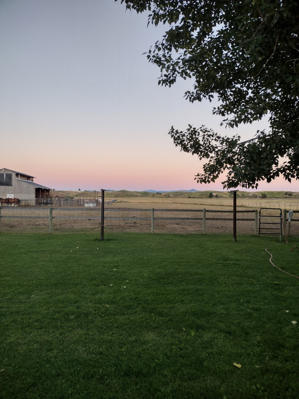 7790 Gowen Lane Property Photo 33