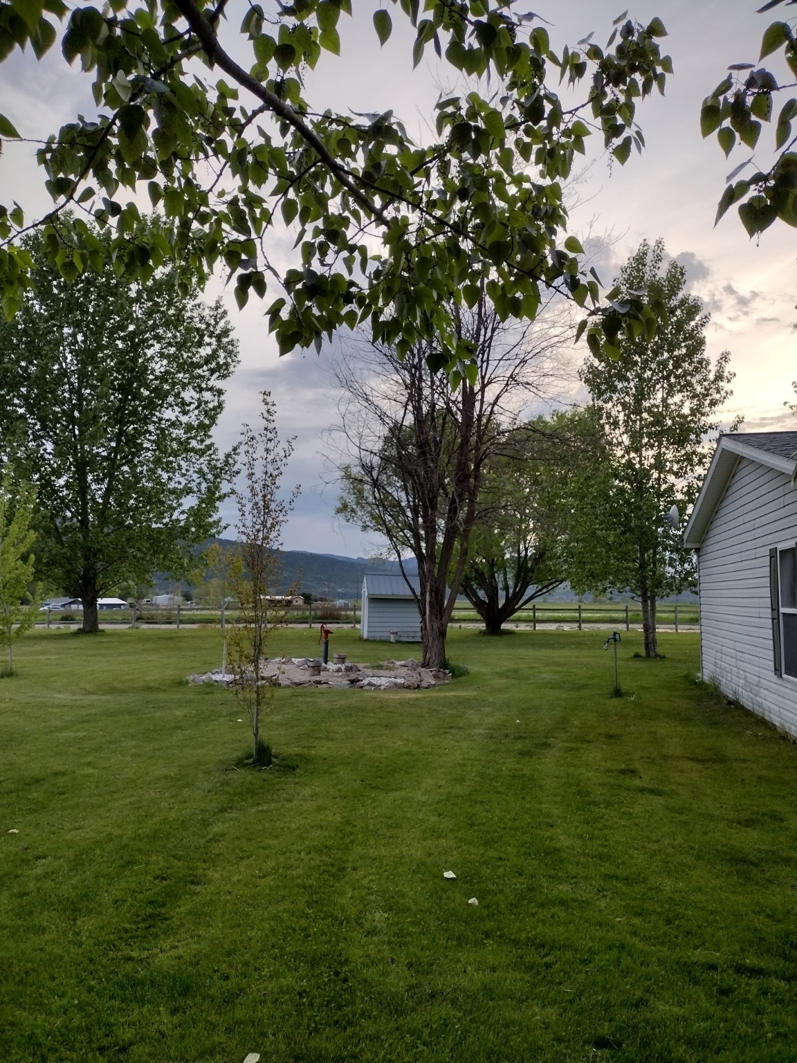 7790 Gowen Lane Property Photo 34