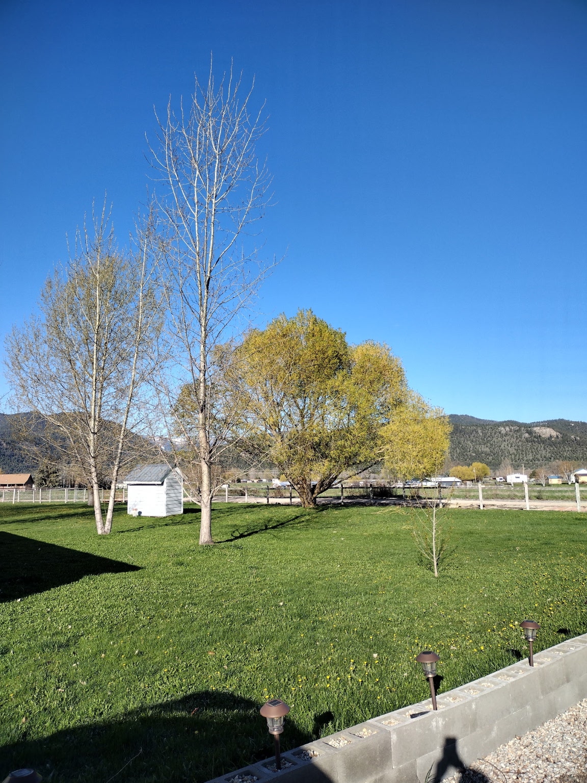 7790 Gowen Lane Property Photo 36
