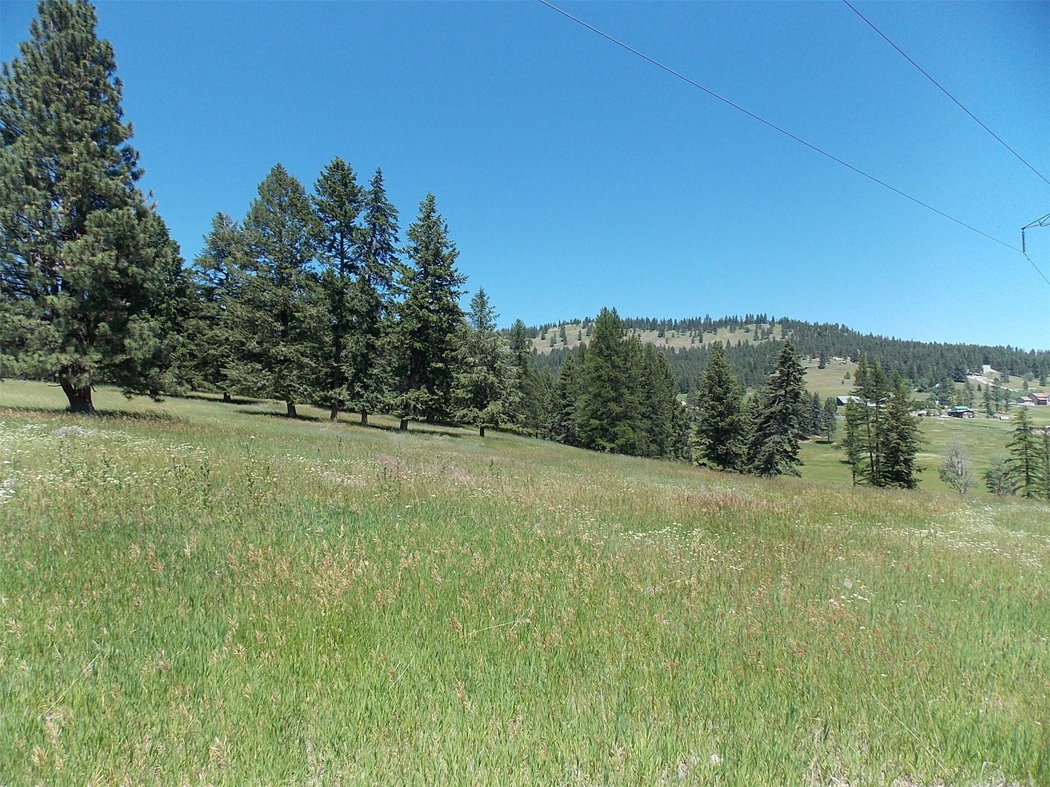 635 Morning View Drive Property Photo 8