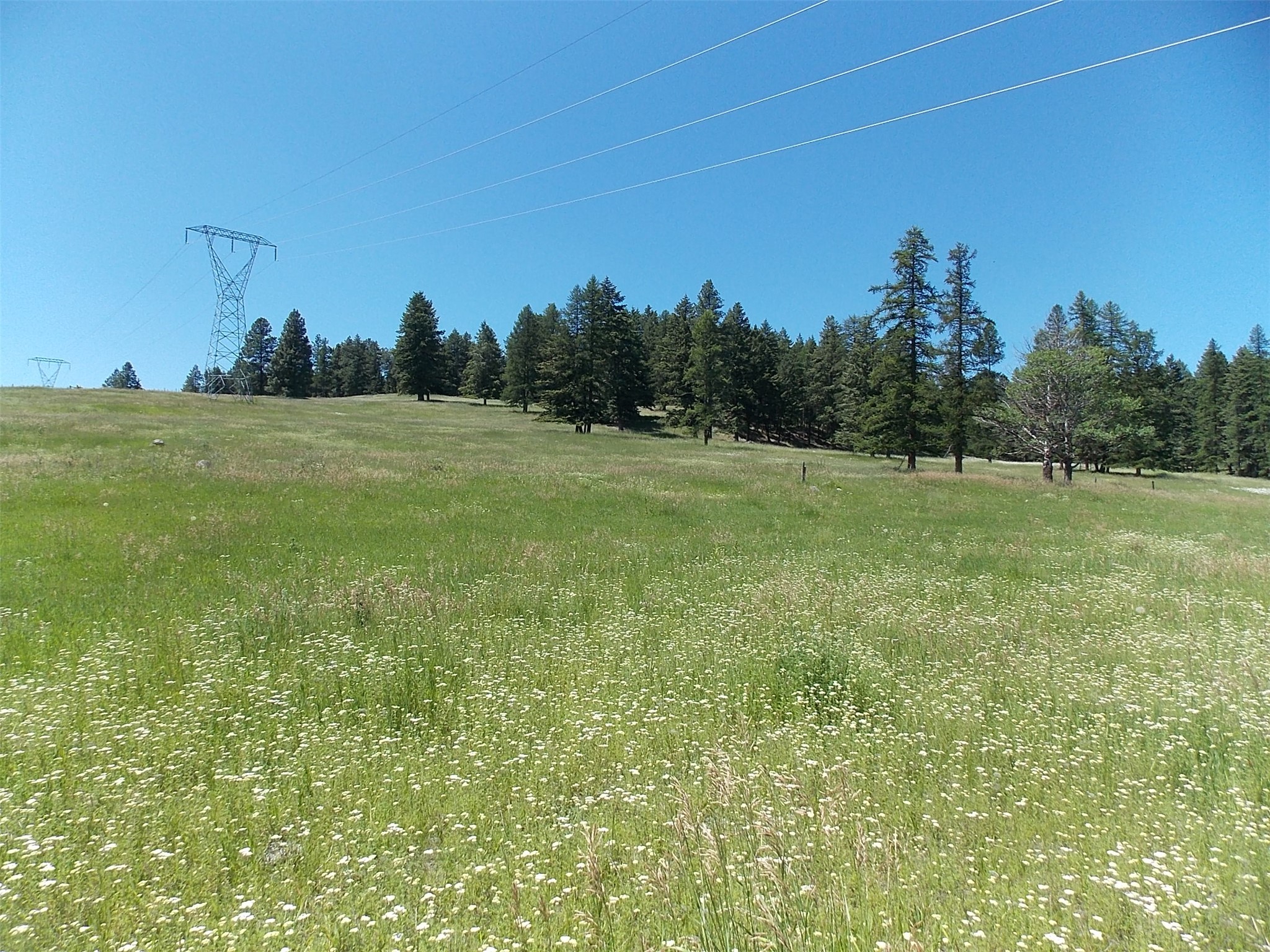 635 Morning View Drive Property Photo 10