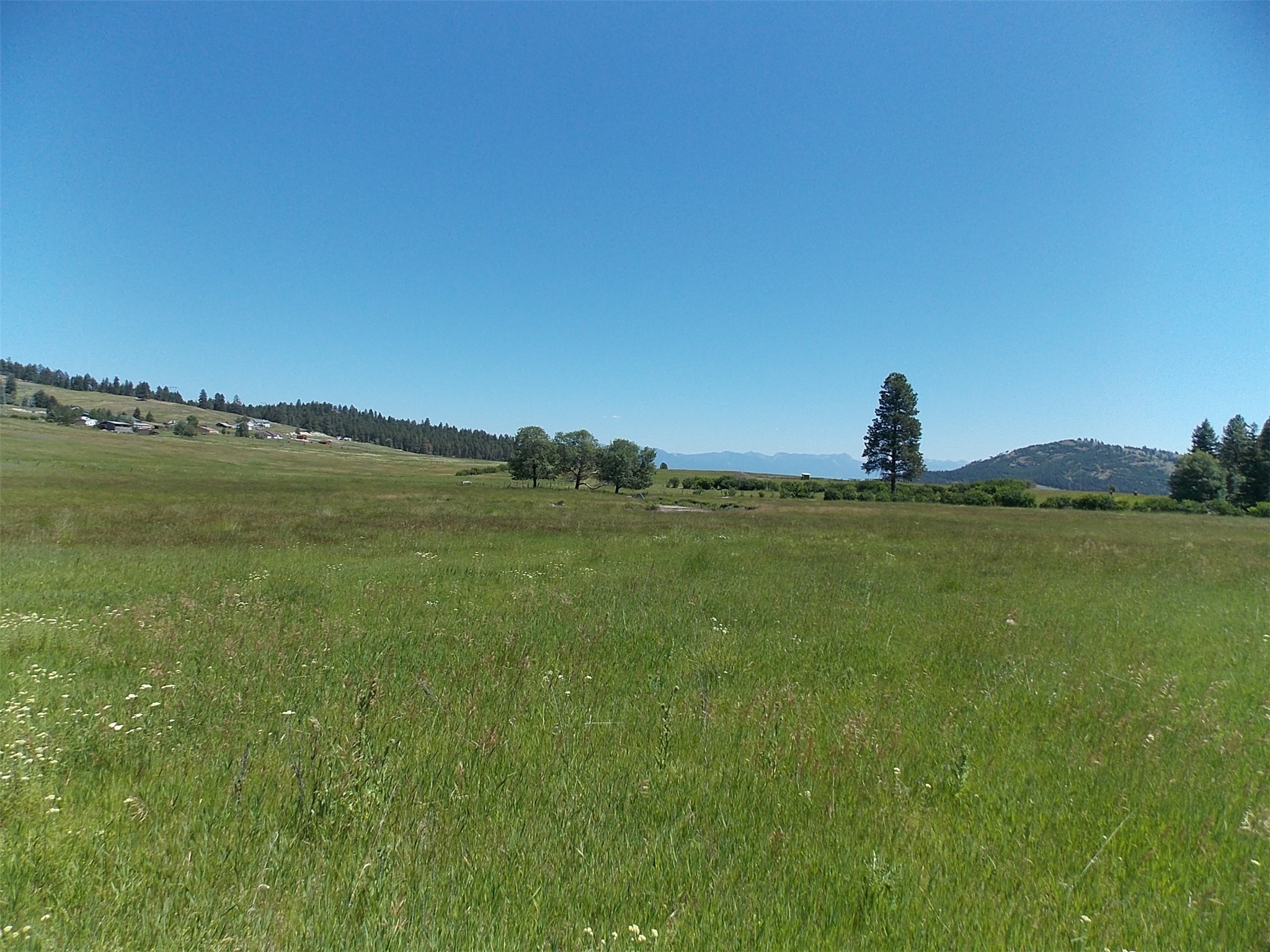 635 Morning View Drive Property Photo 11