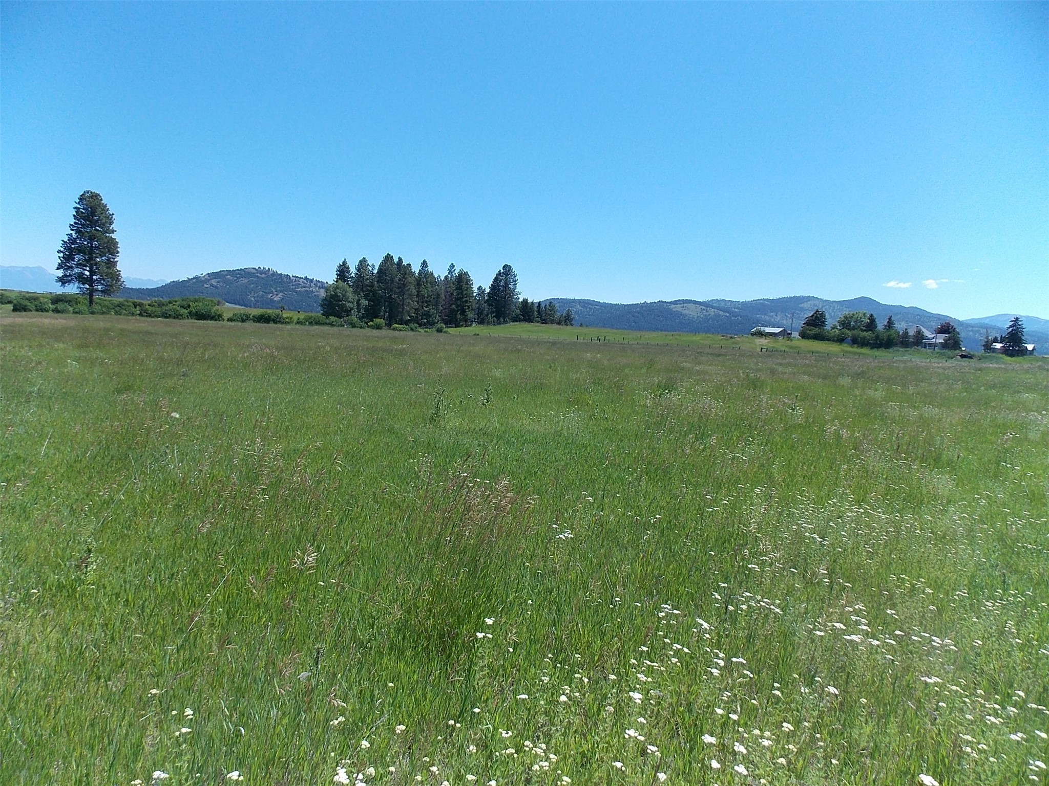 635 Morning View Drive Property Photo 12