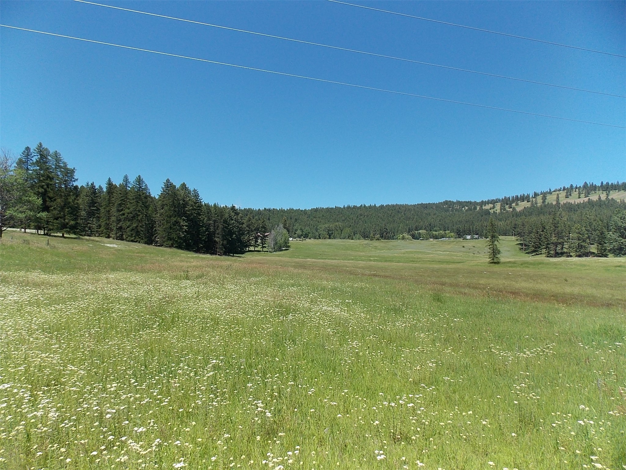 635 Morning View Drive Property Photo 13