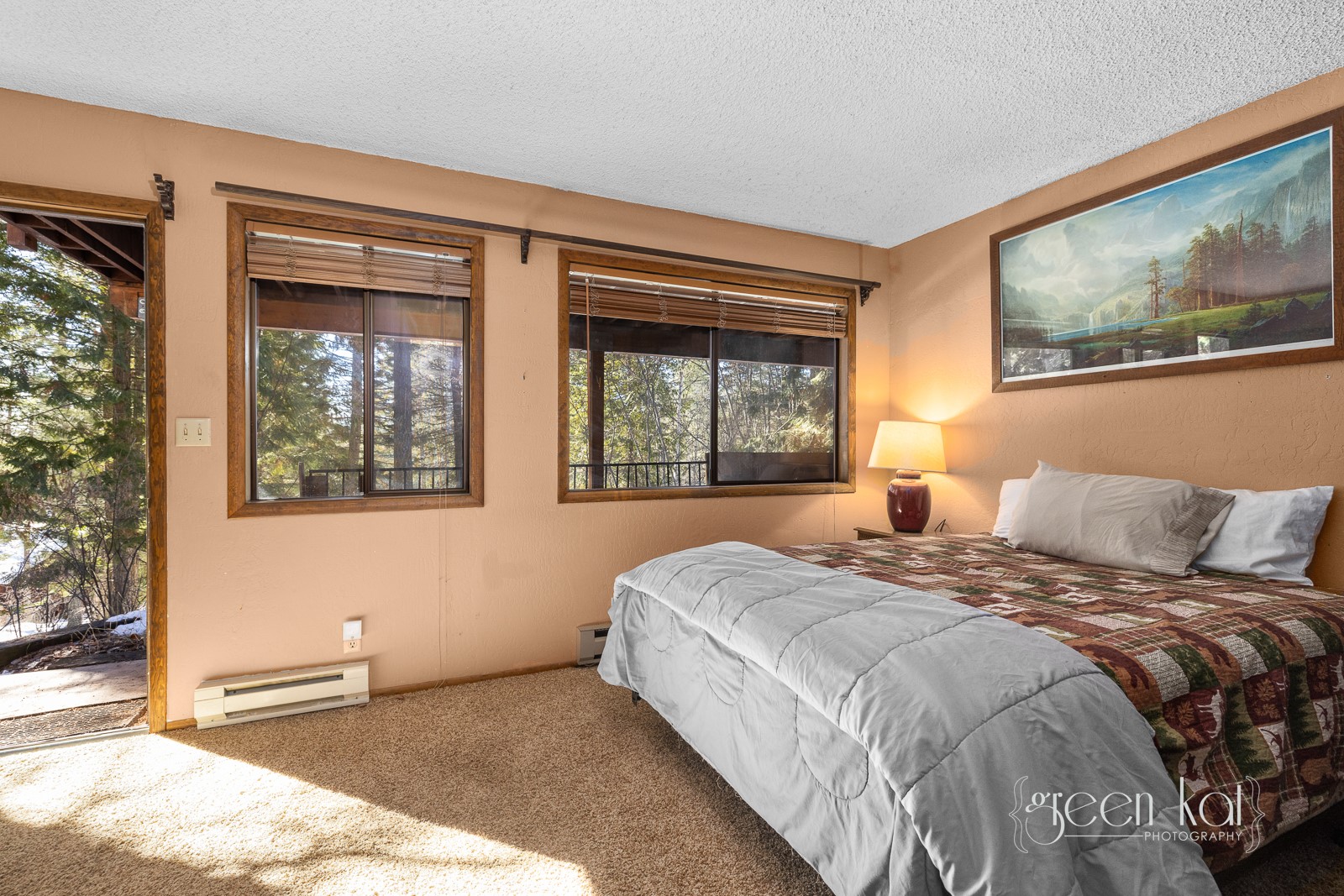 62 Limber Pine Property Photo 15