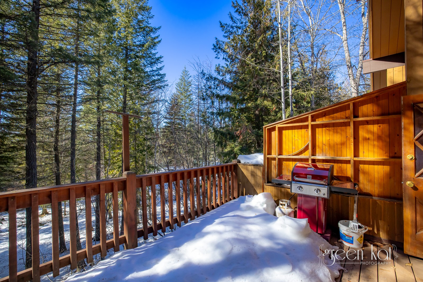 62 Limber Pine Property Photo 19