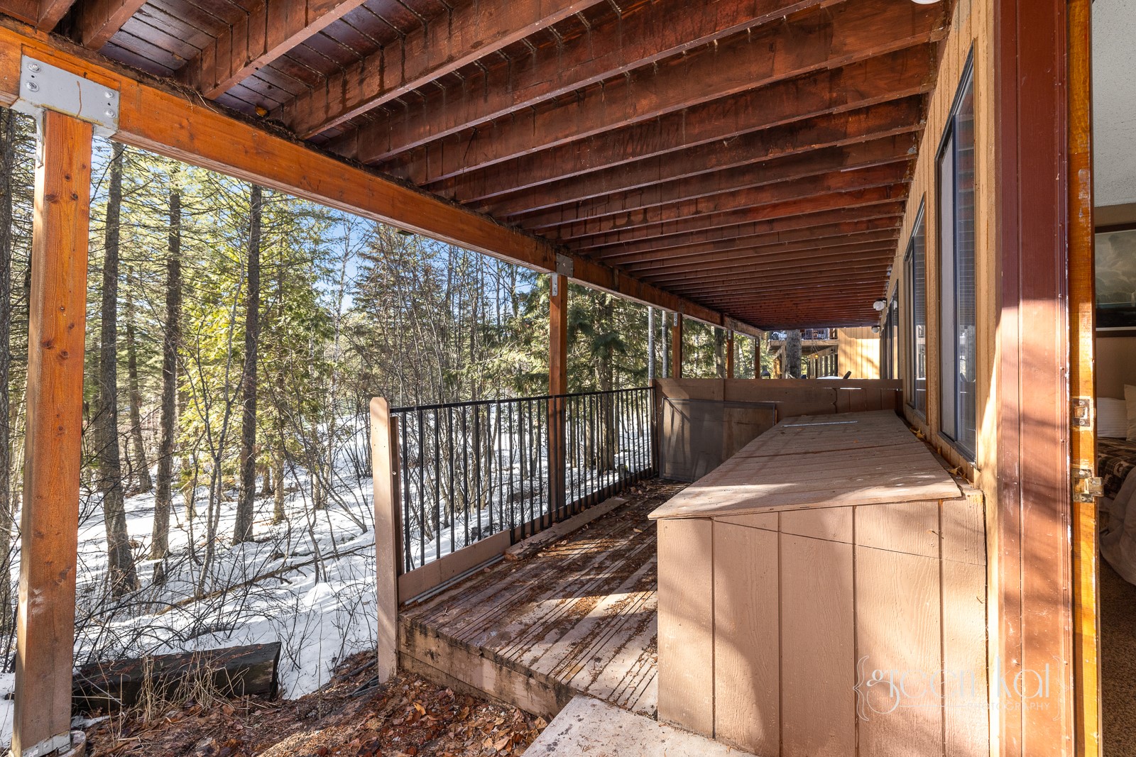 62 Limber Pine Property Photo 20