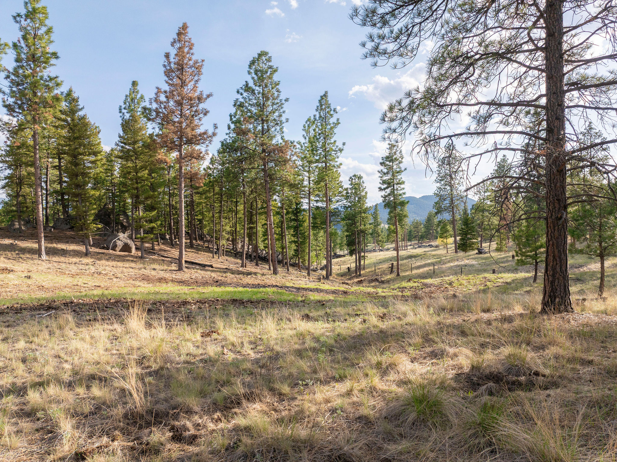 Tbd Leaning Tree Lane Property Photo 3