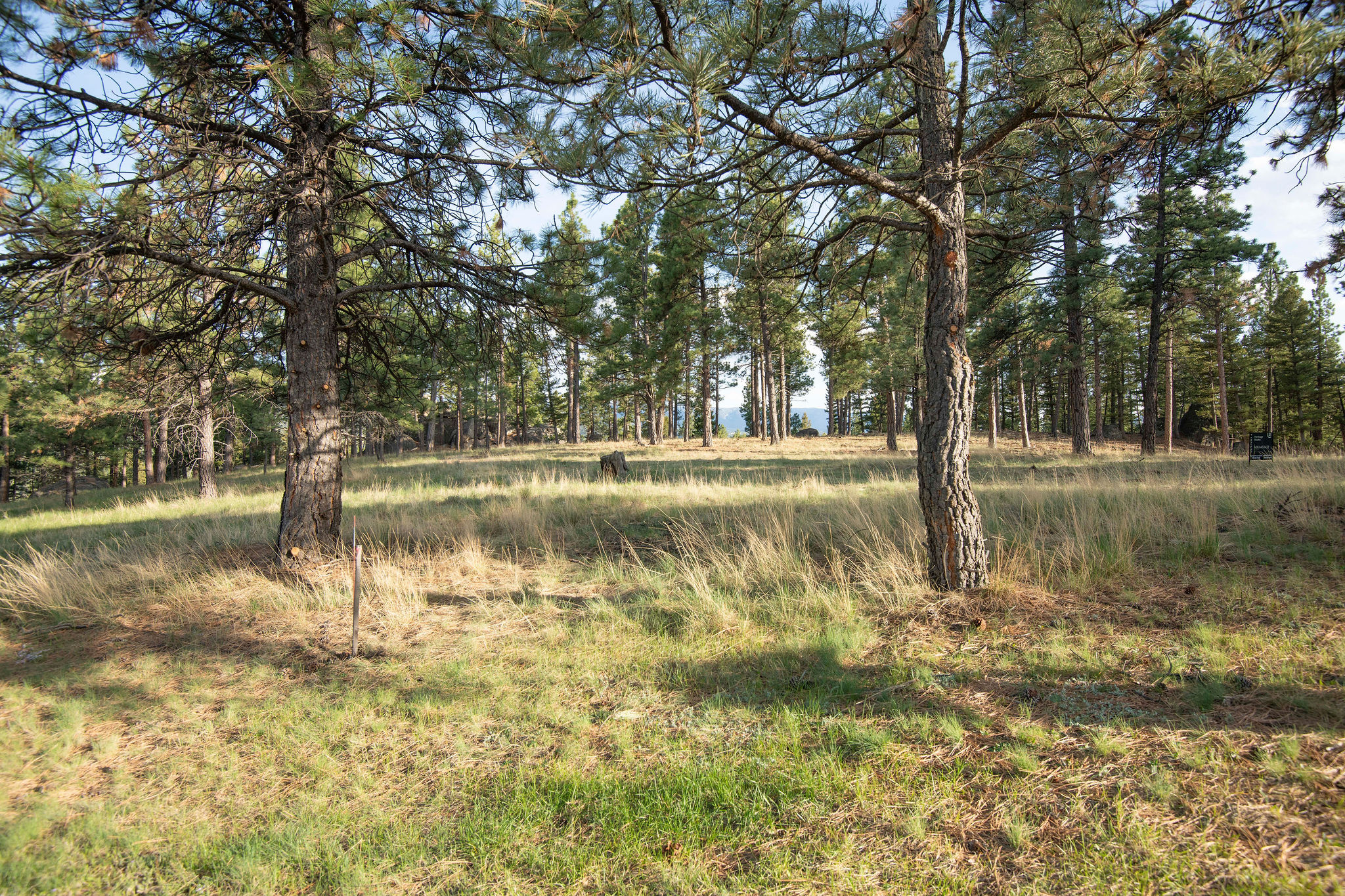 Tbd Leaning Tree Lane Property Photo 4