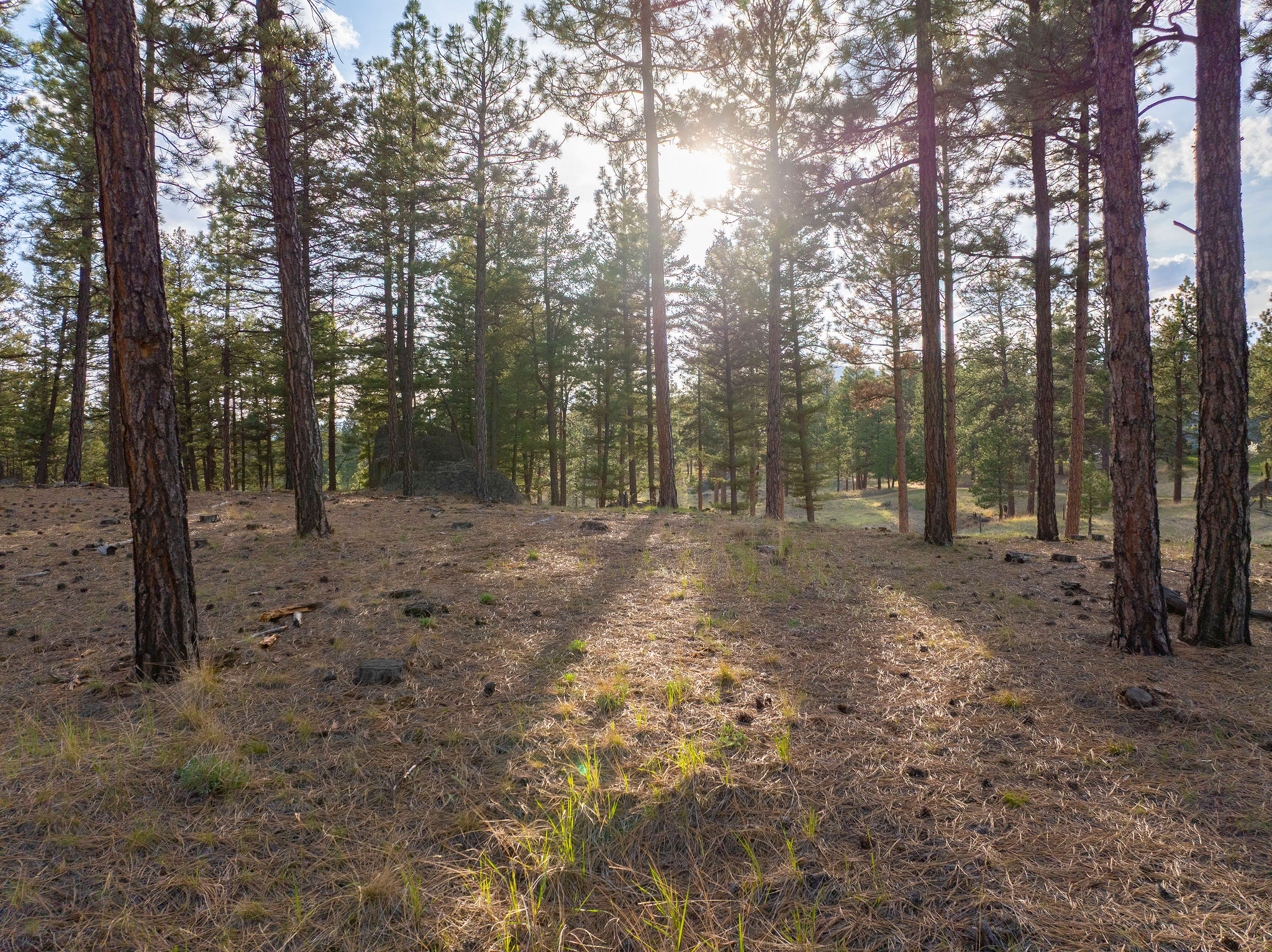 Tbd Leaning Tree Lane Property Photo 9