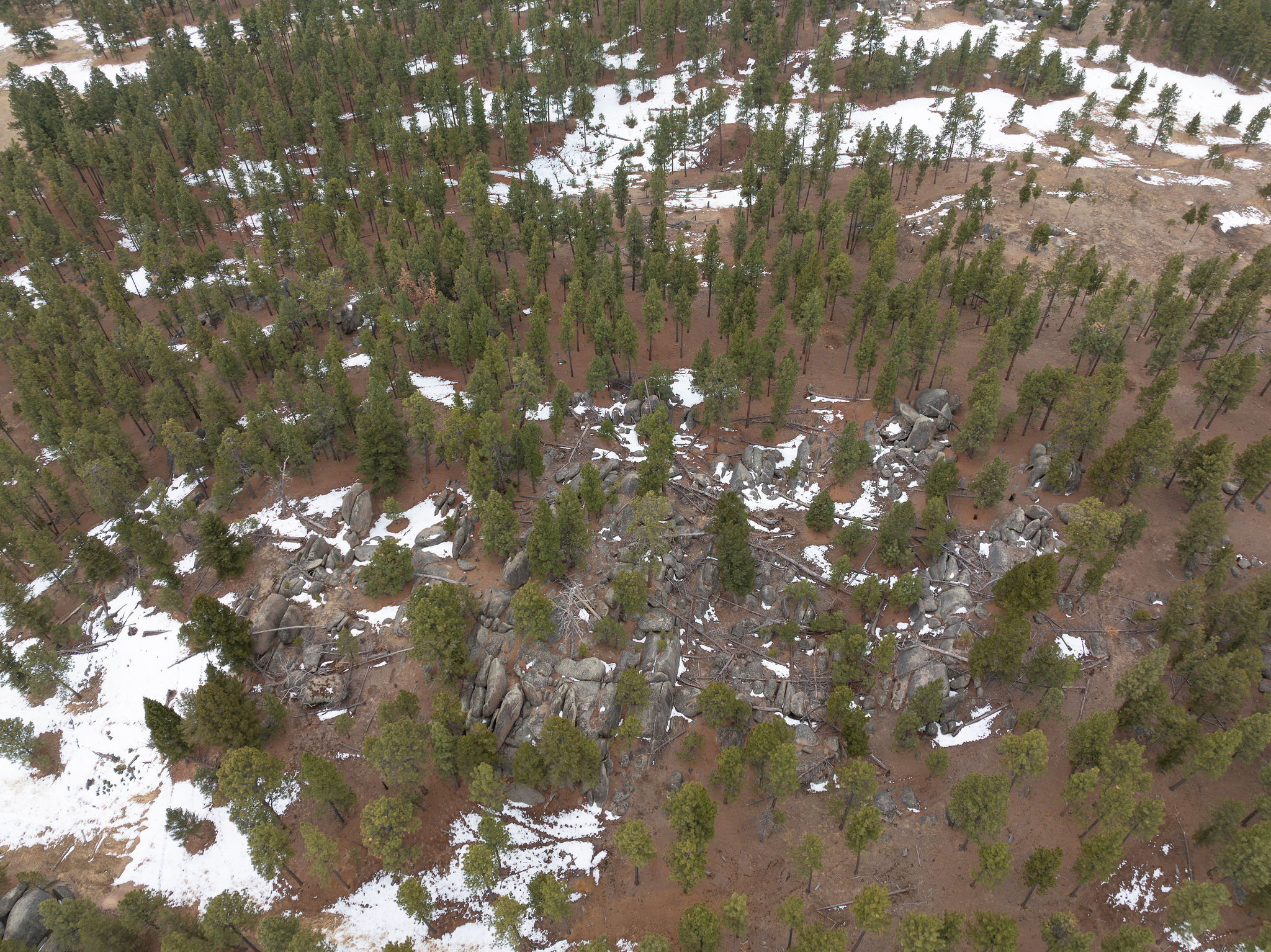 Tbd Leaning Tree Lane Property Photo 10