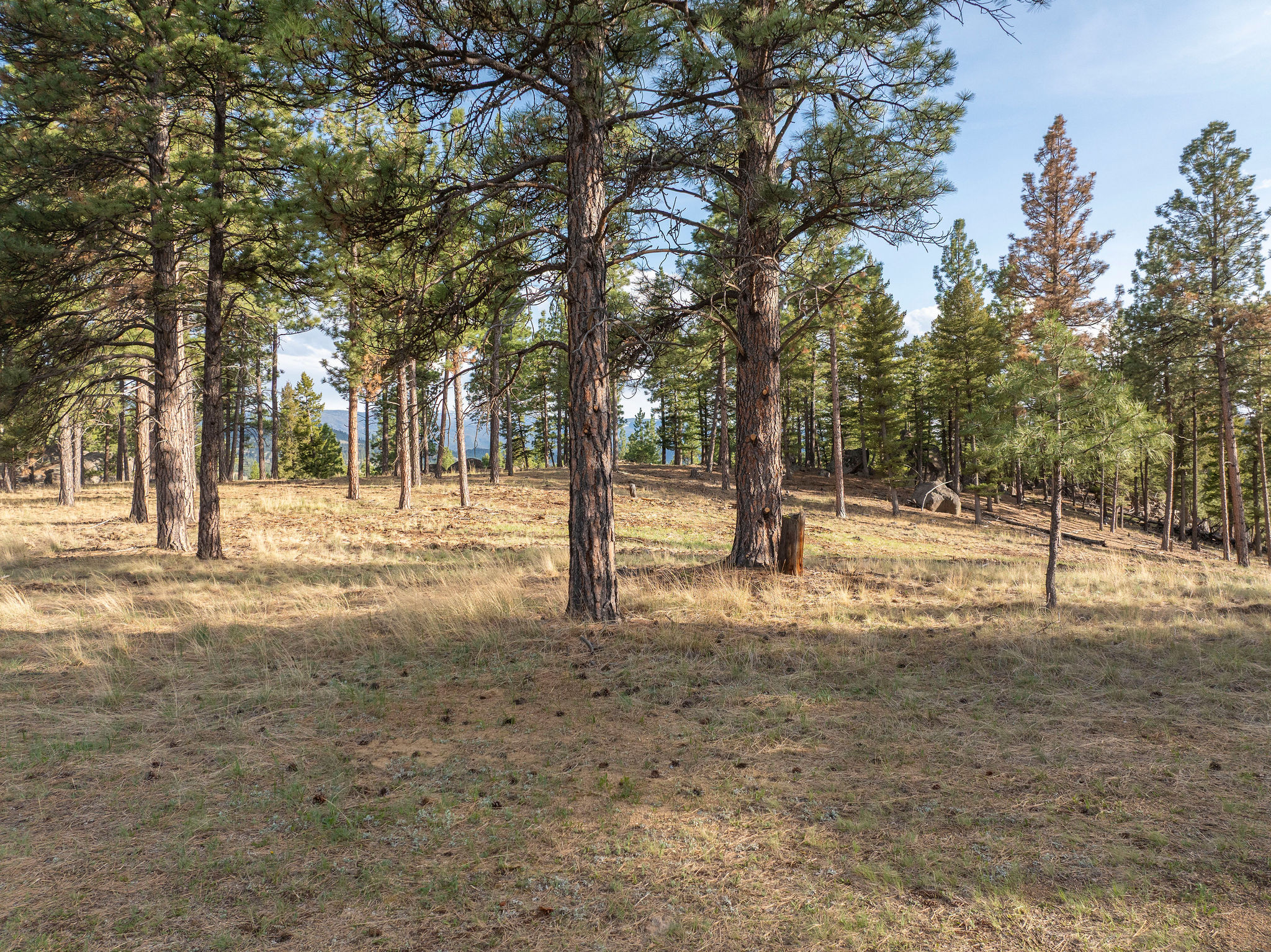 Tbd Leaning Tree Lane Property Photo 12