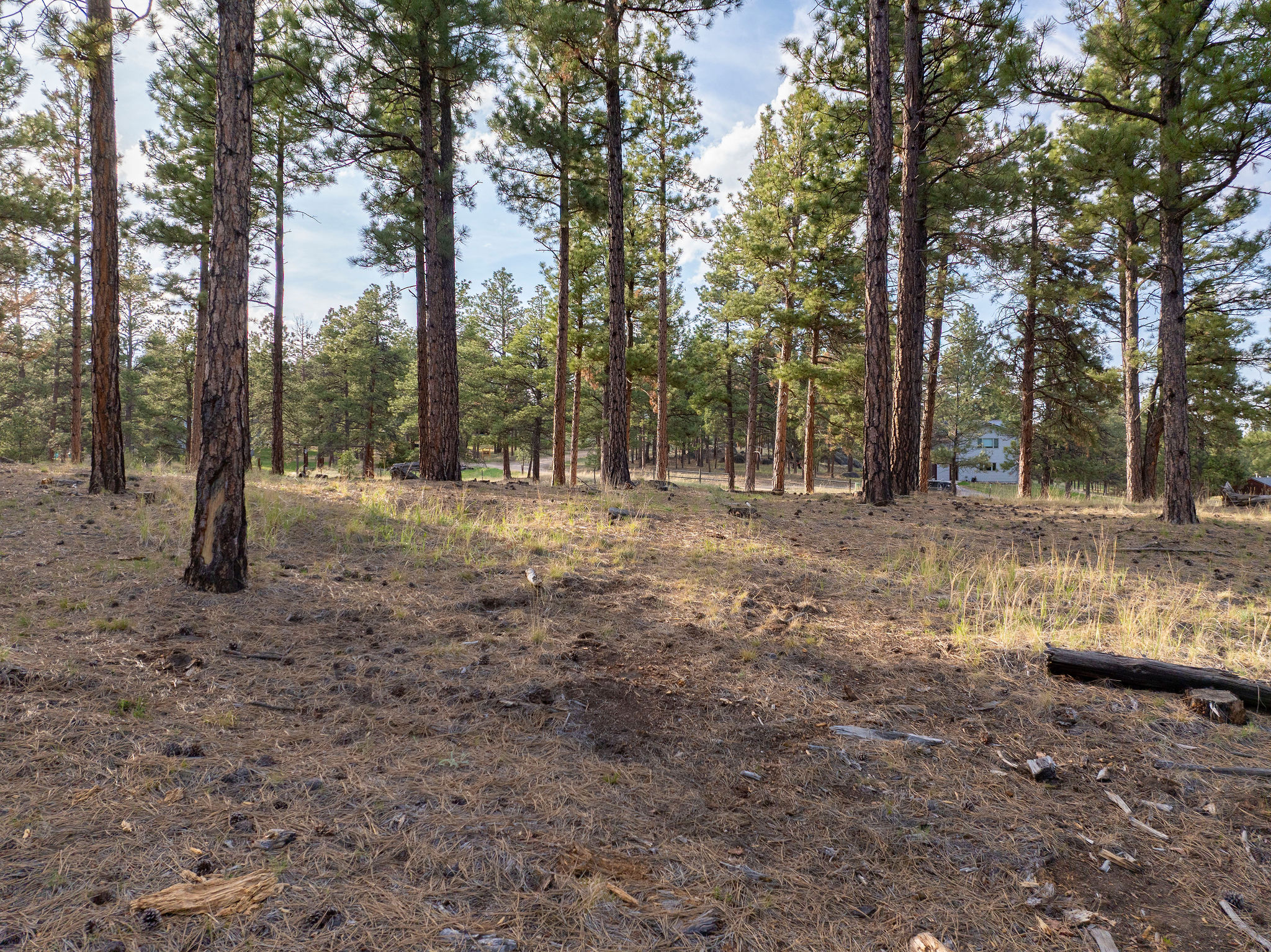 Tbd Leaning Tree Lane Property Photo 17