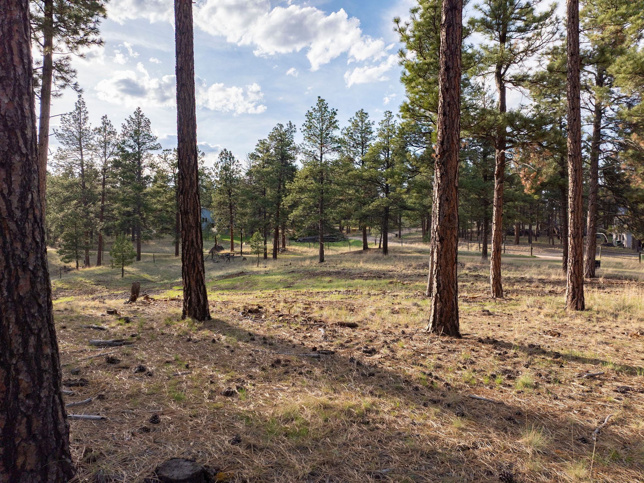 Tbd Leaning Tree Lane Property Photo 19