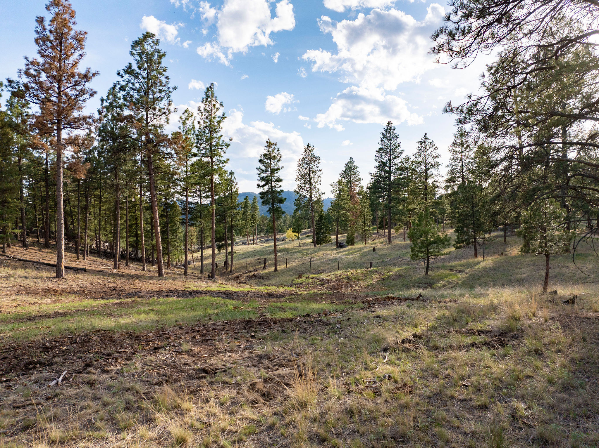 Tbd Leaning Tree Lane Property Photo 21