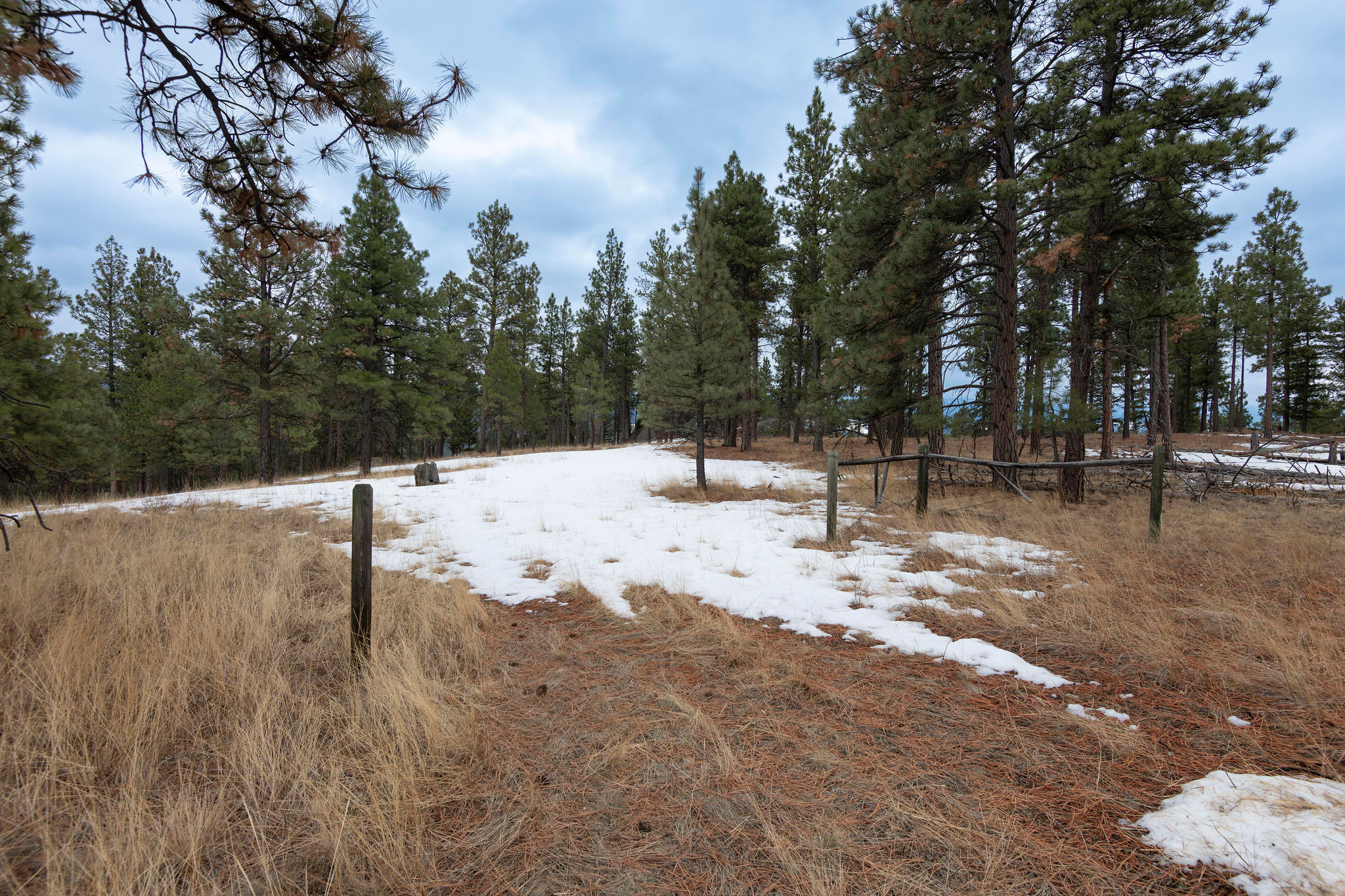 Tbd Leaning Tree Lane Property Photo 22