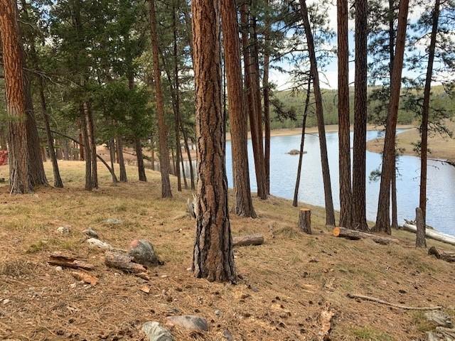 196 Elbow Loop S Property Photo 18