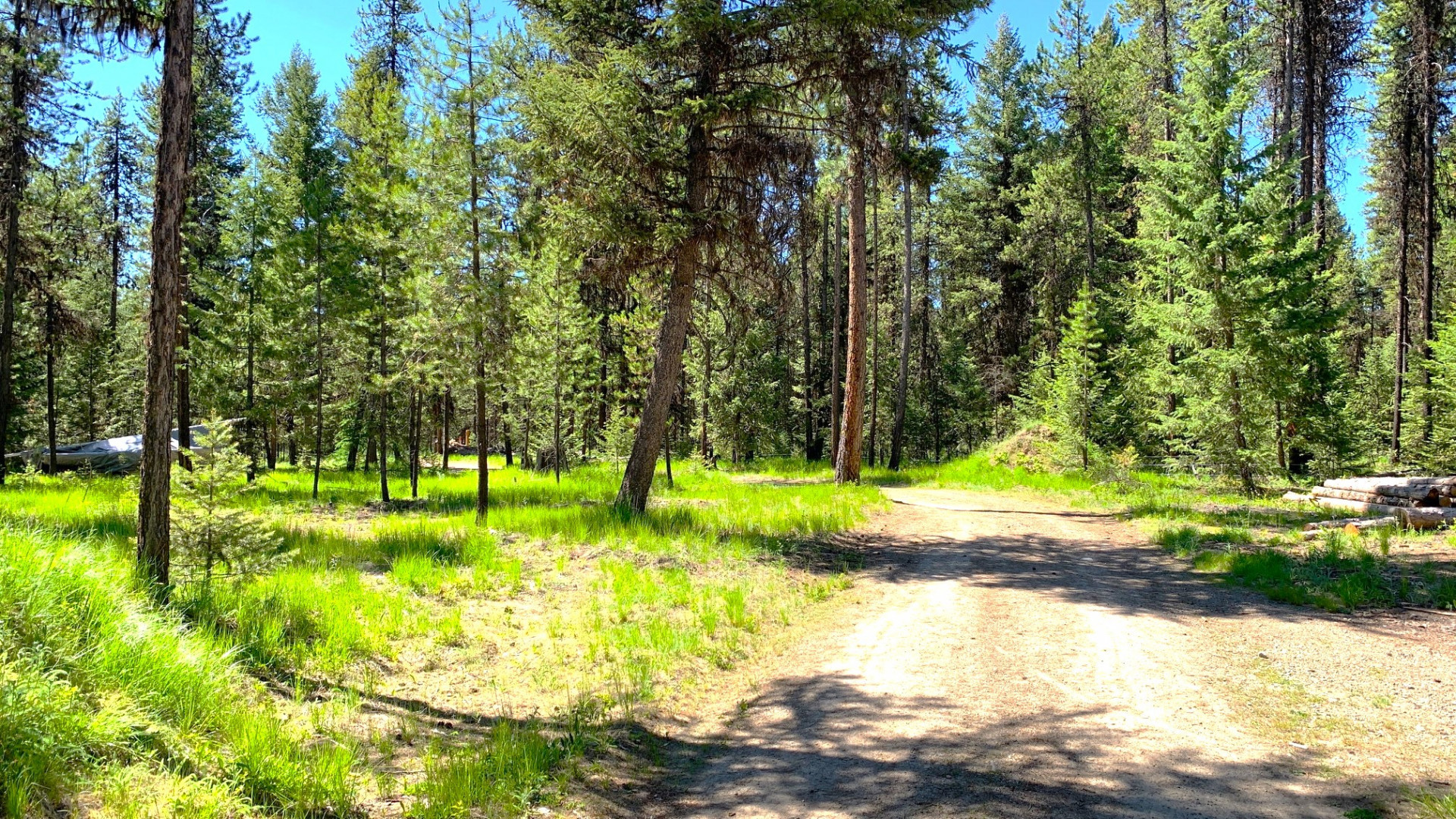 20 Big Mountain Lane Property Photo 8
