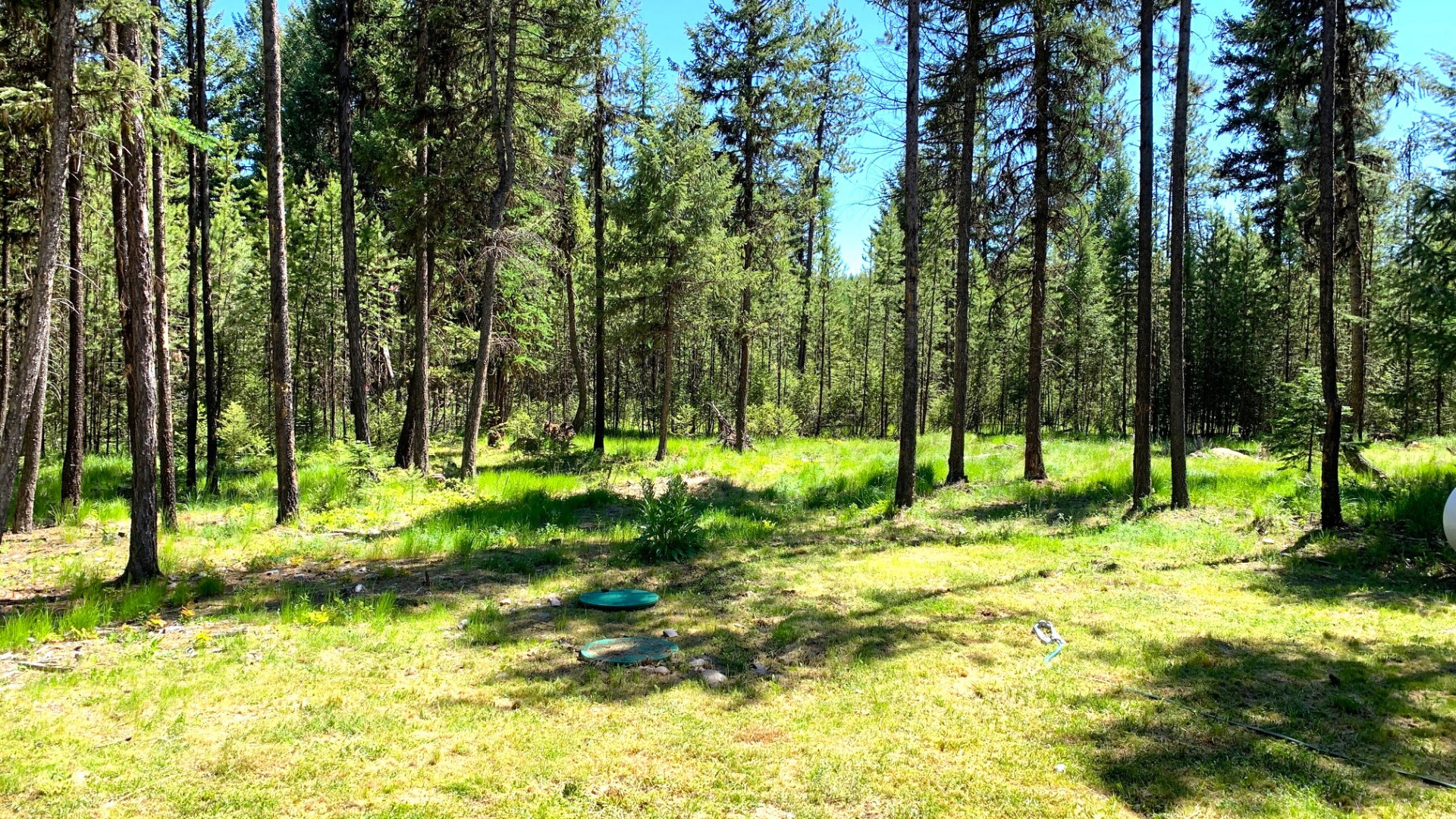 20 Big Mountain Lane Property Photo 9