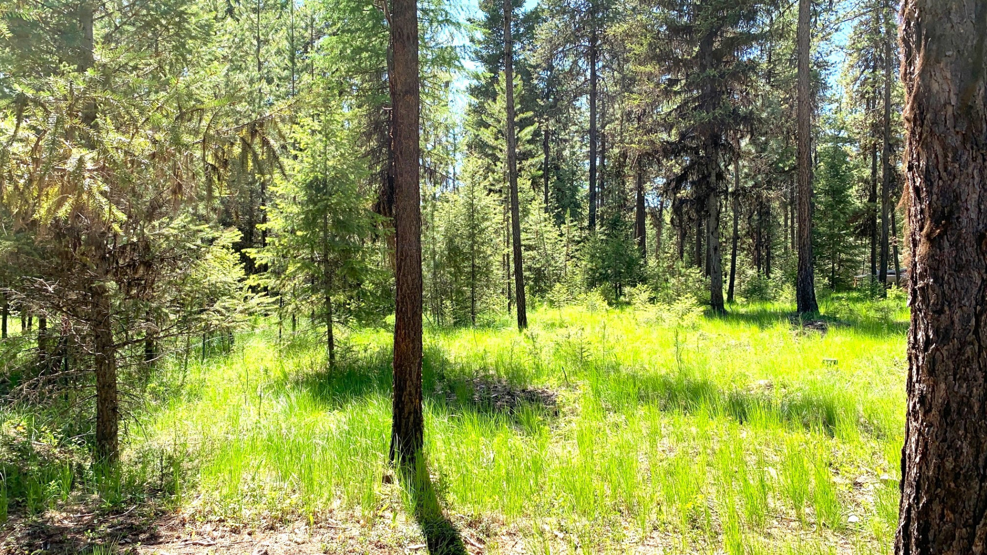 20 Big Mountain Lane Property Photo 10