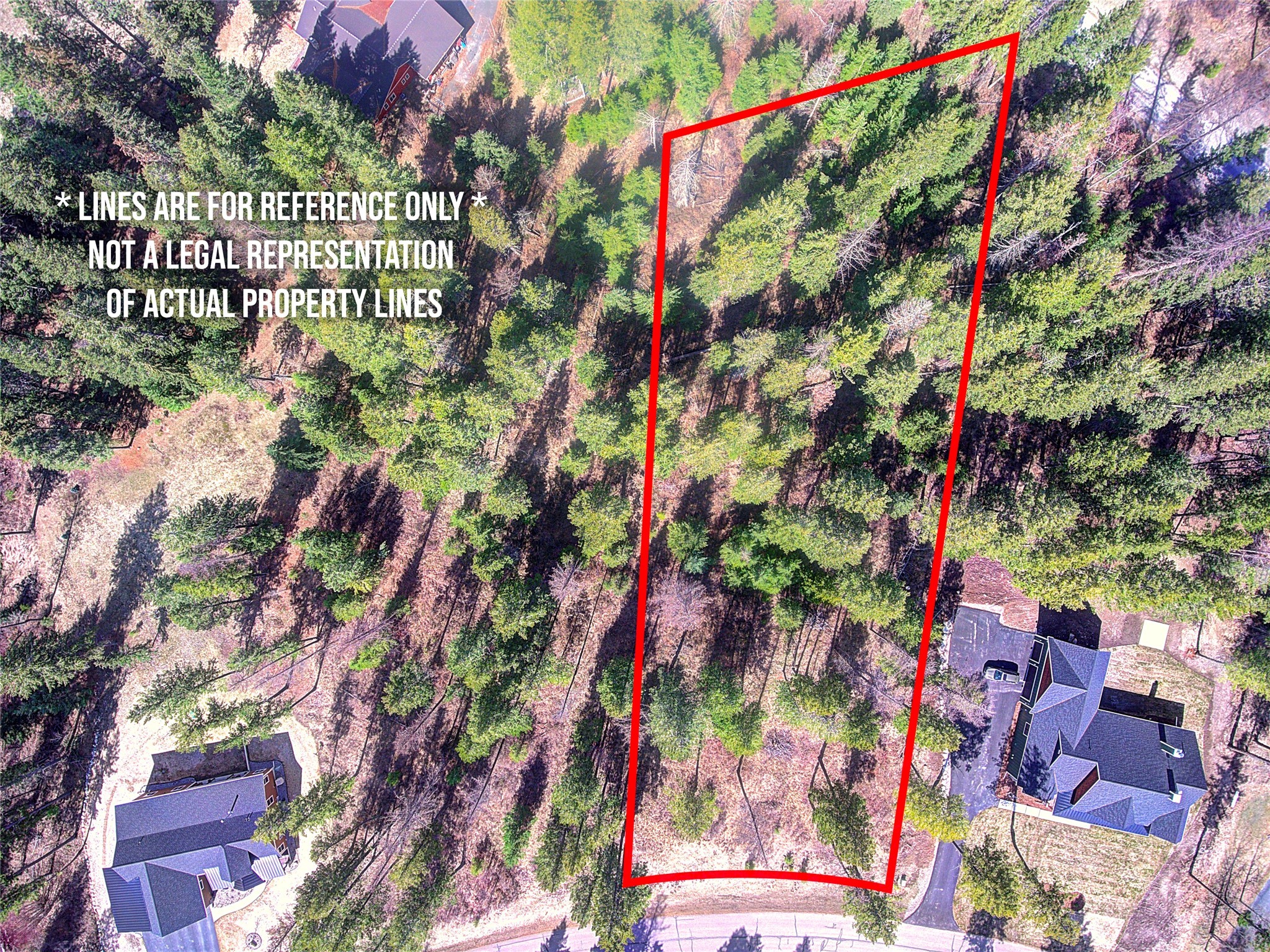 131 Wood Ridge Drive Property Photo 4