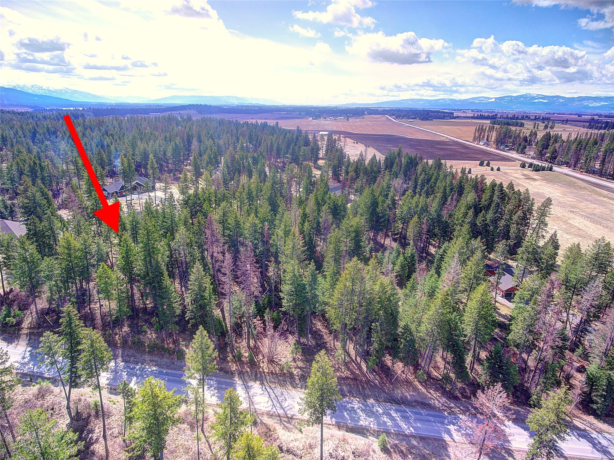 131 Wood Ridge Drive Property Photo 15