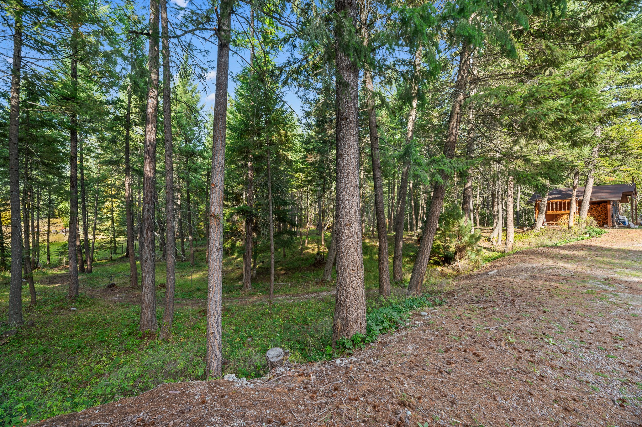 176 Blaine Ridge Road Property Photo 45