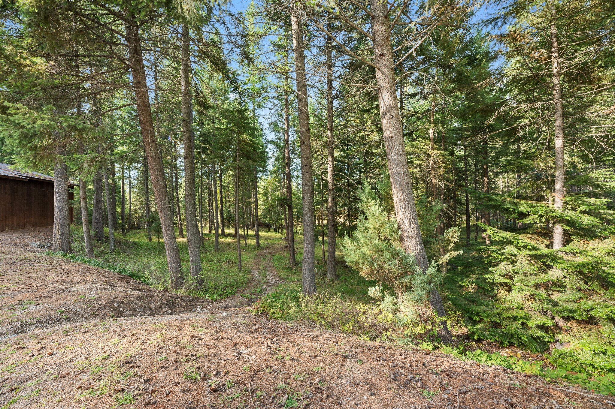 176 Blaine Ridge Road Property Photo 46