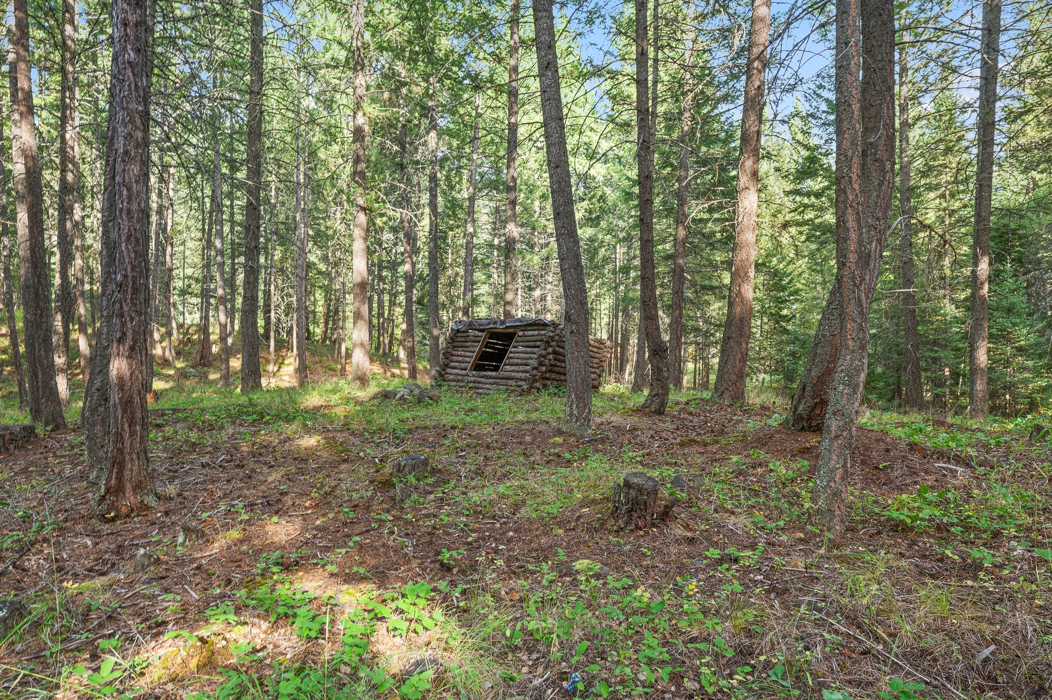 176 Blaine Ridge Road Property Photo 47