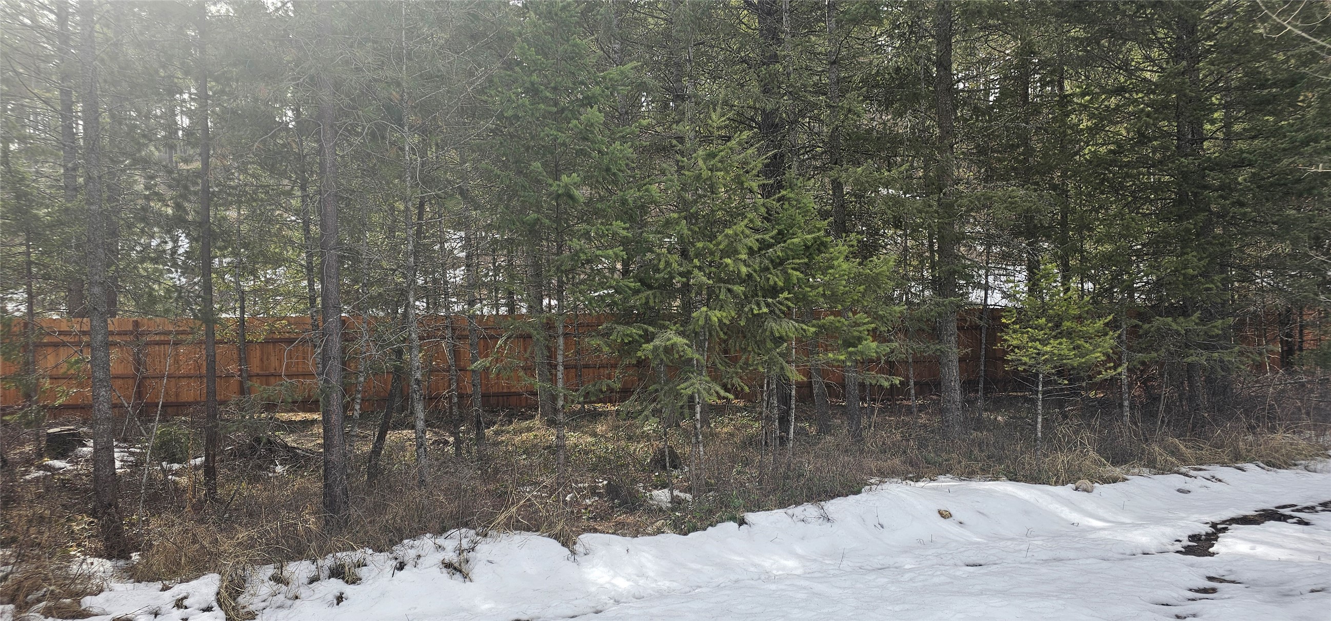 2010 Silvertip Drive S Property Photo 46