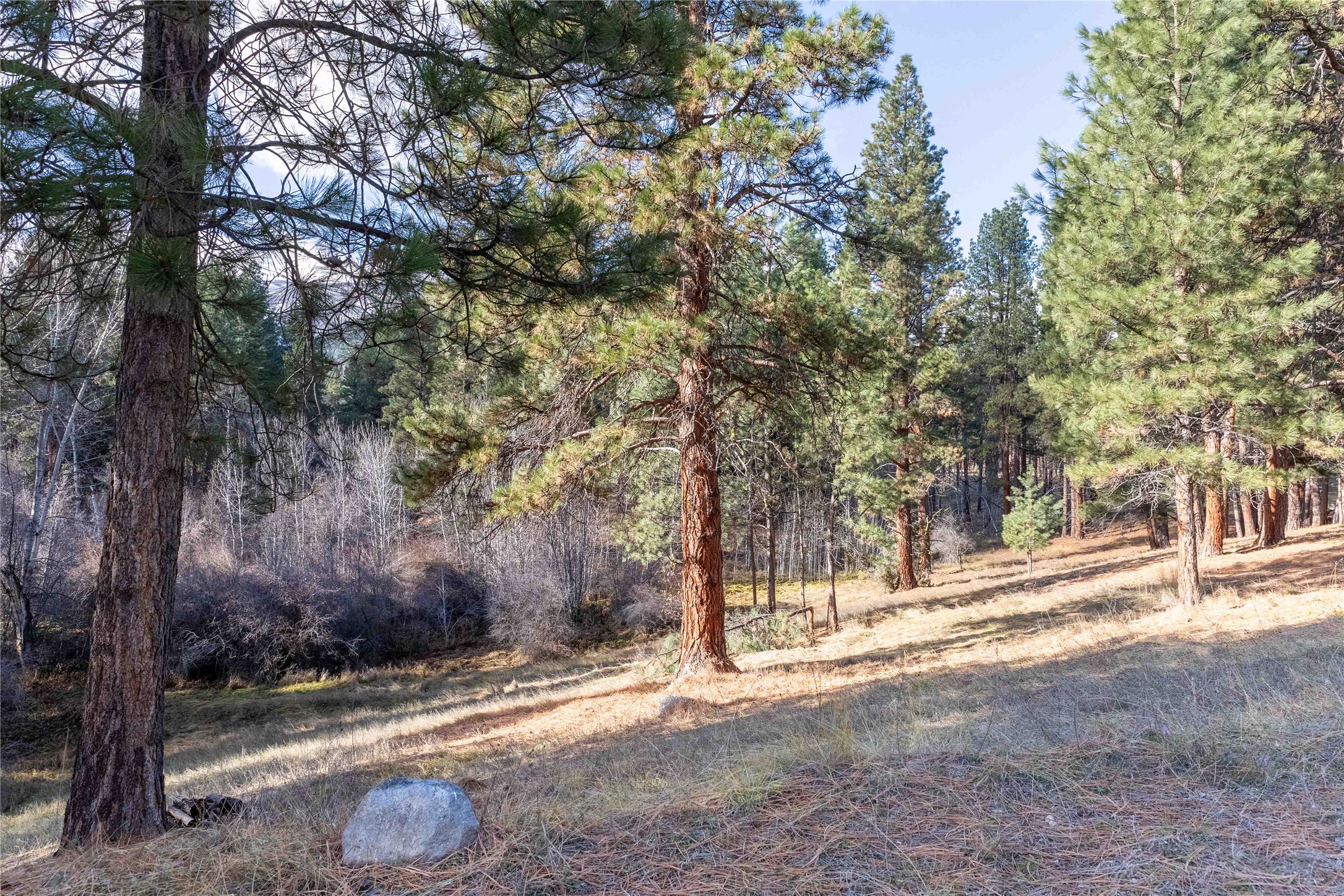 390 N Gold Creek Loop Property Photo 26