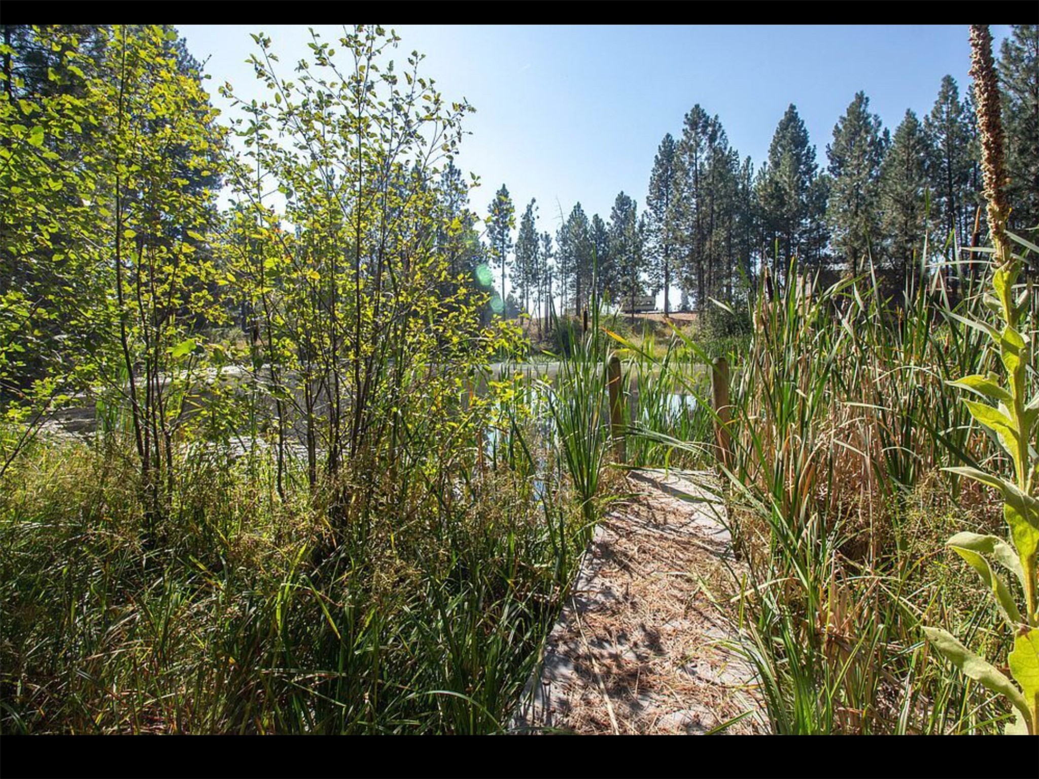 390 N Gold Creek Loop Property Photo 32