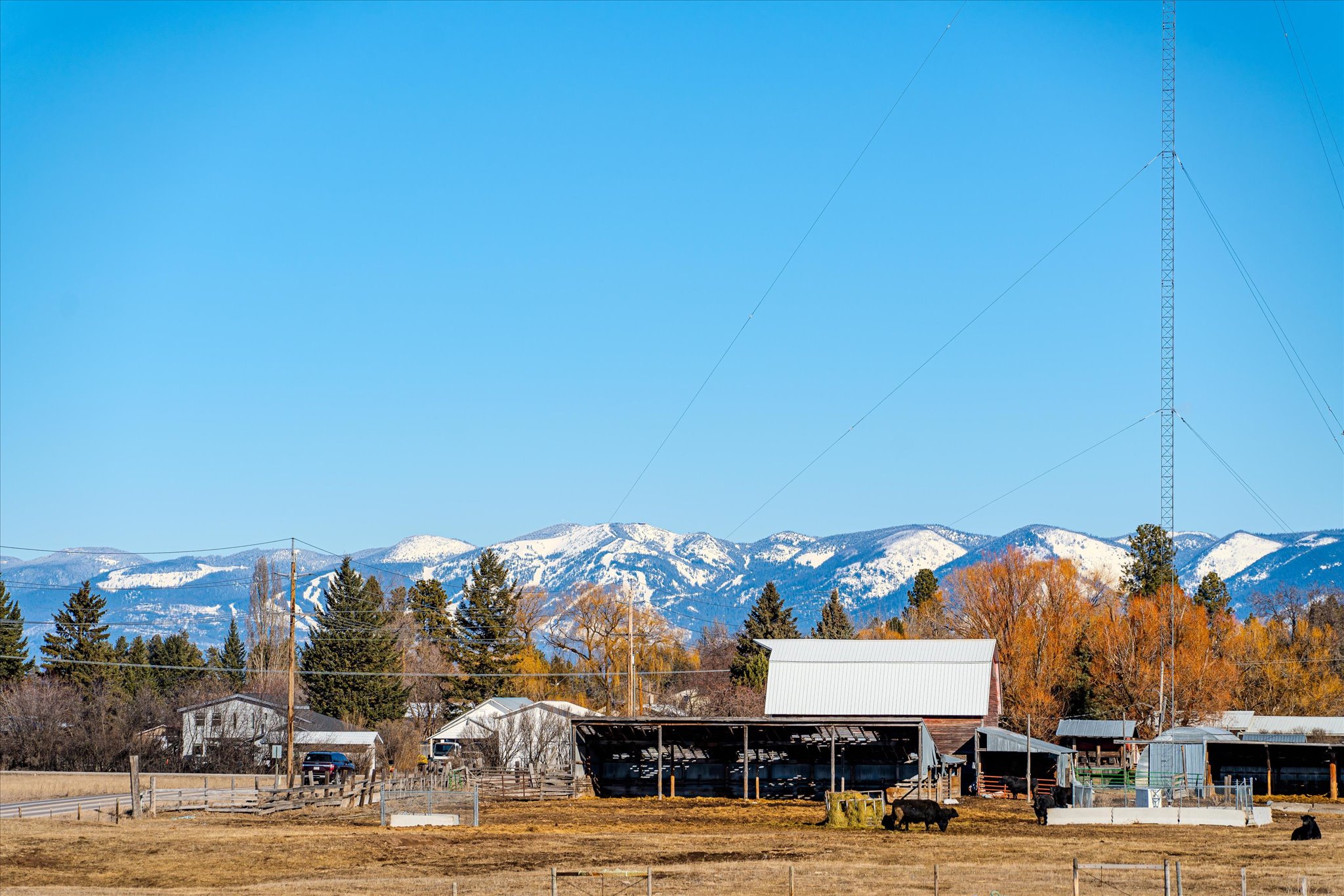 112 Freedom Way Property Photo 14