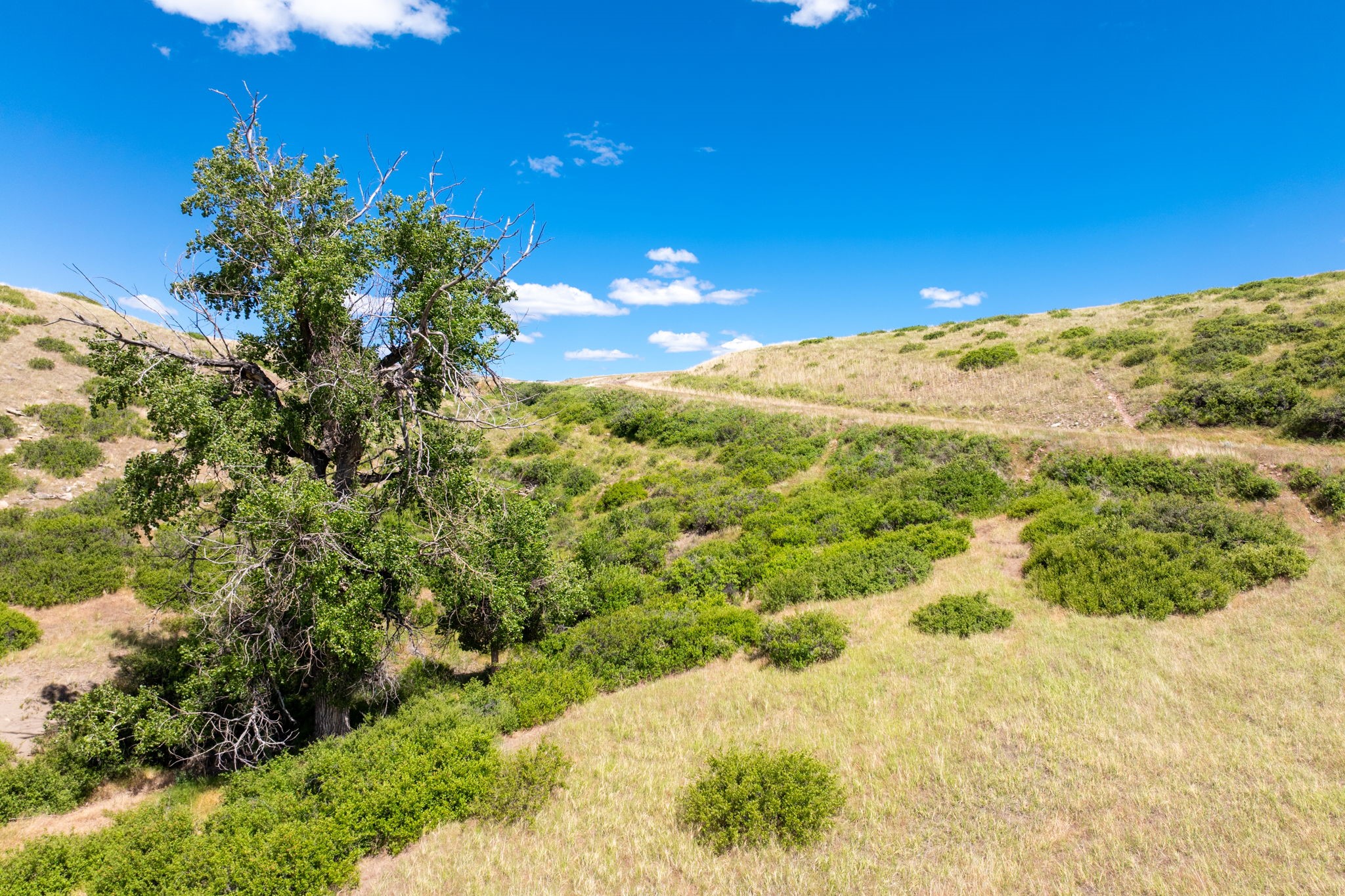 Lot 4 Missouri Bend Property Photo 6