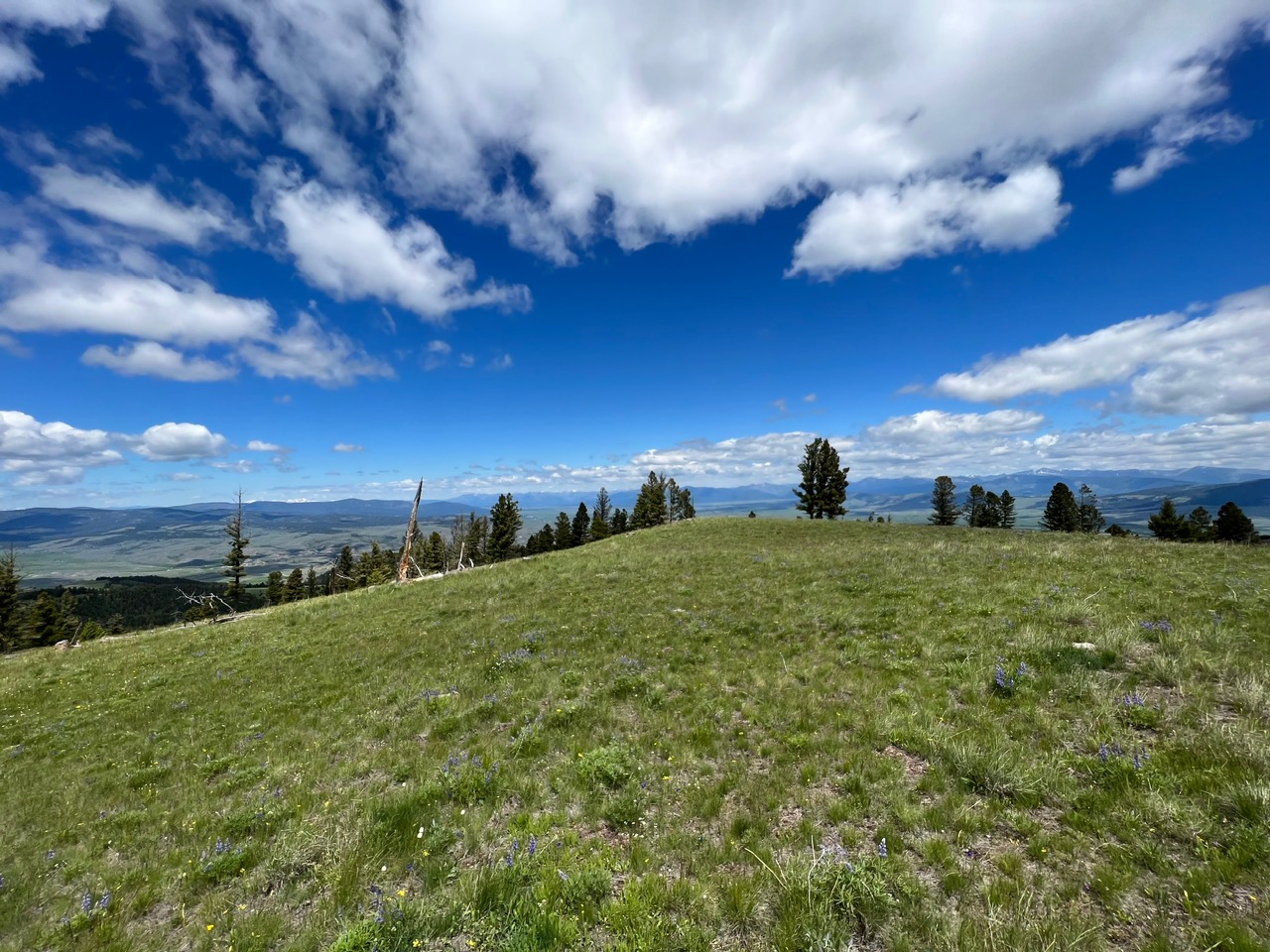3858 Westridge Road Property Photo 19