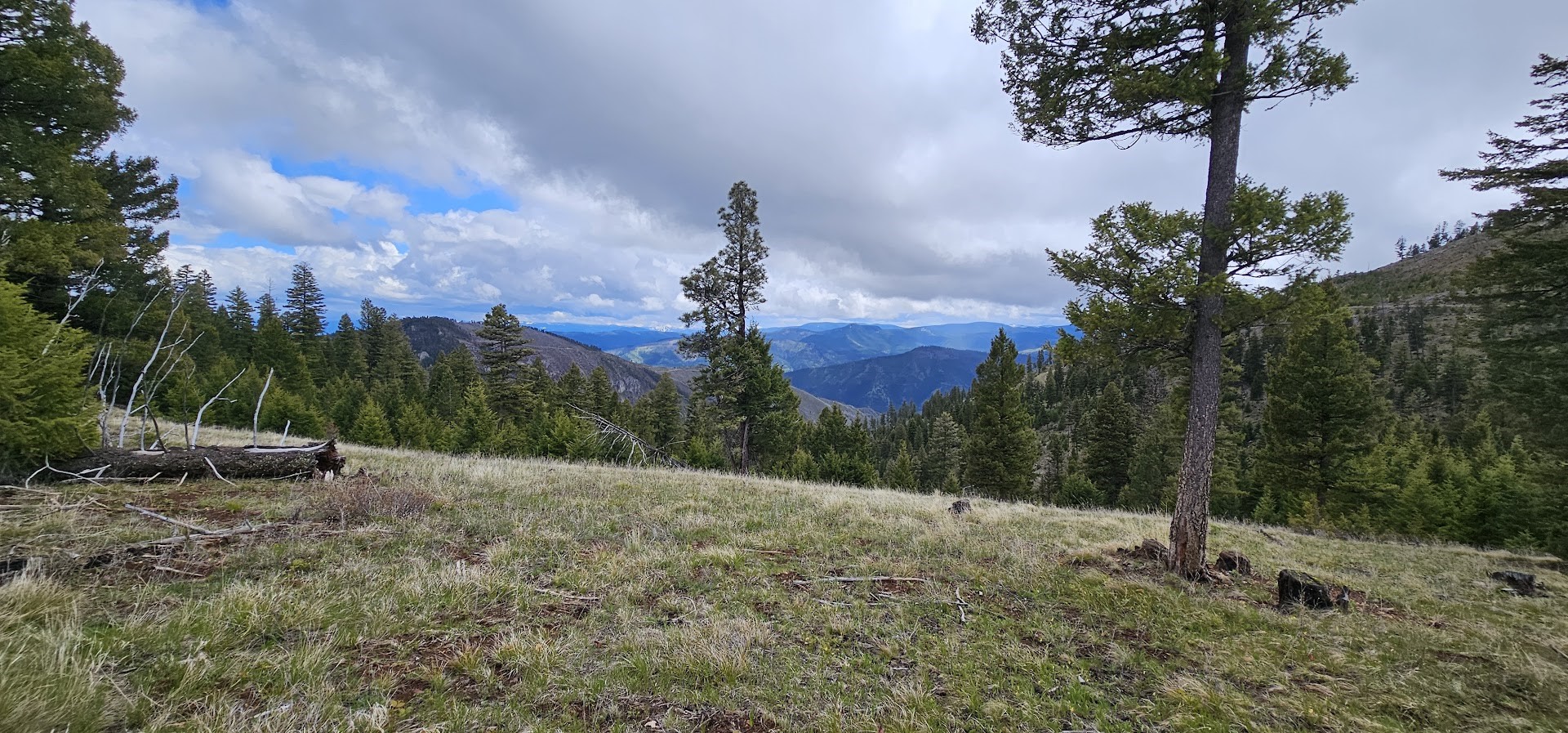 1-3, 8, 16 Tract, Garnet Range Property Photo 5