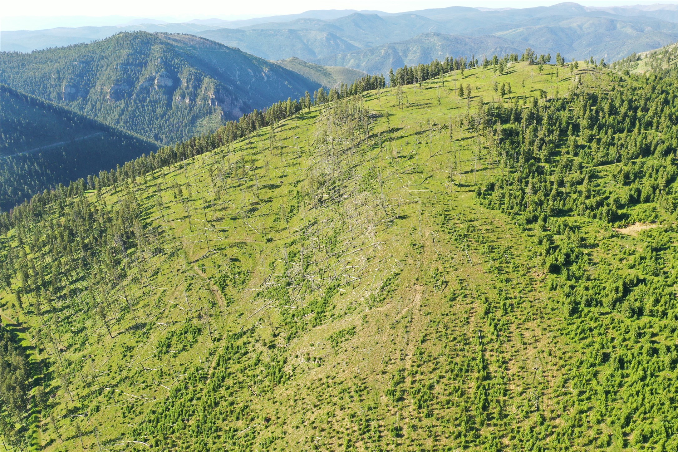 1-3, 8, 16 Tract, Garnet Range Property Photo 9