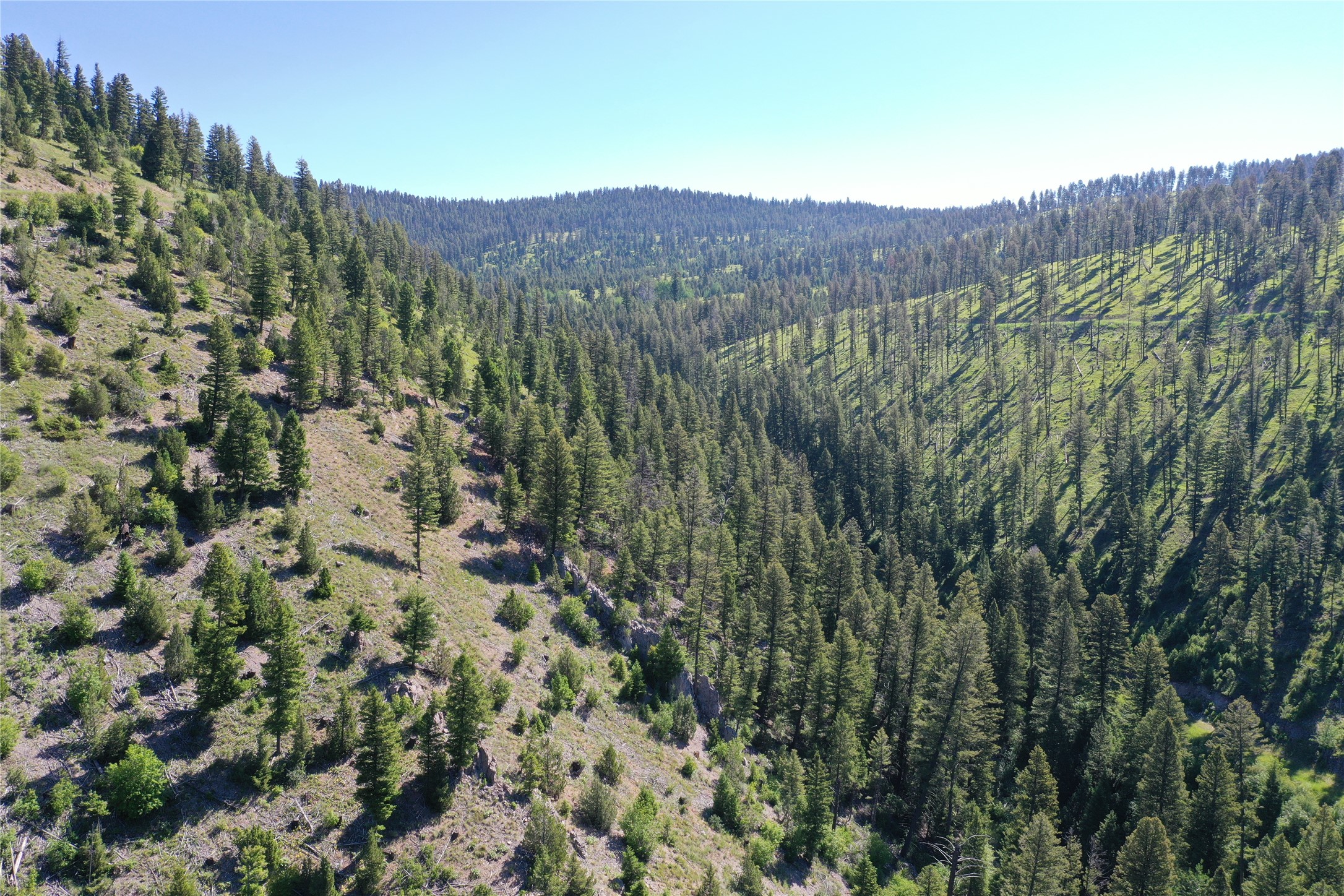 4-7 Tract, Garnet Range Property Photo 5