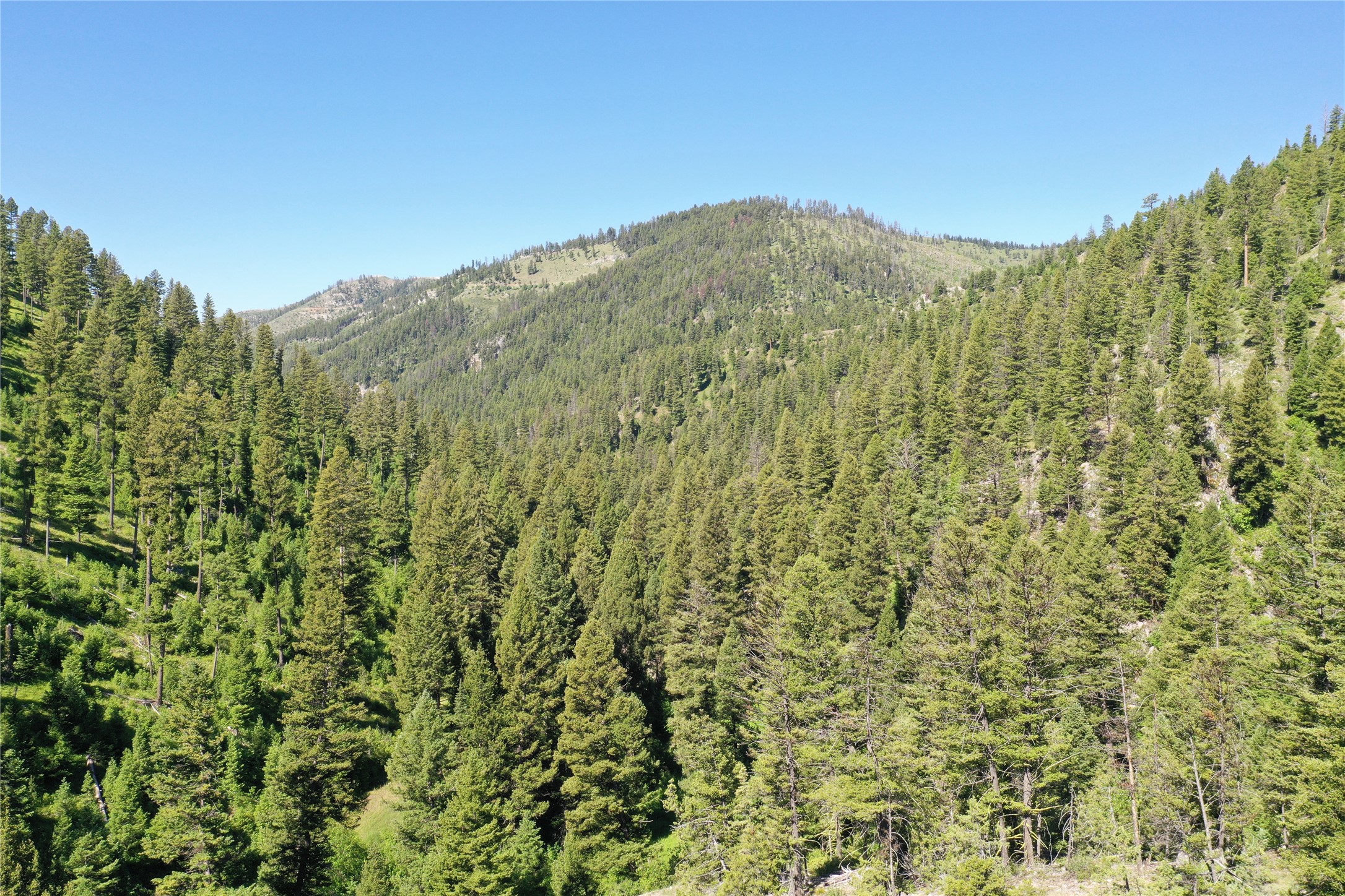 4-7 Tract, Garnet Range Property Photo 6