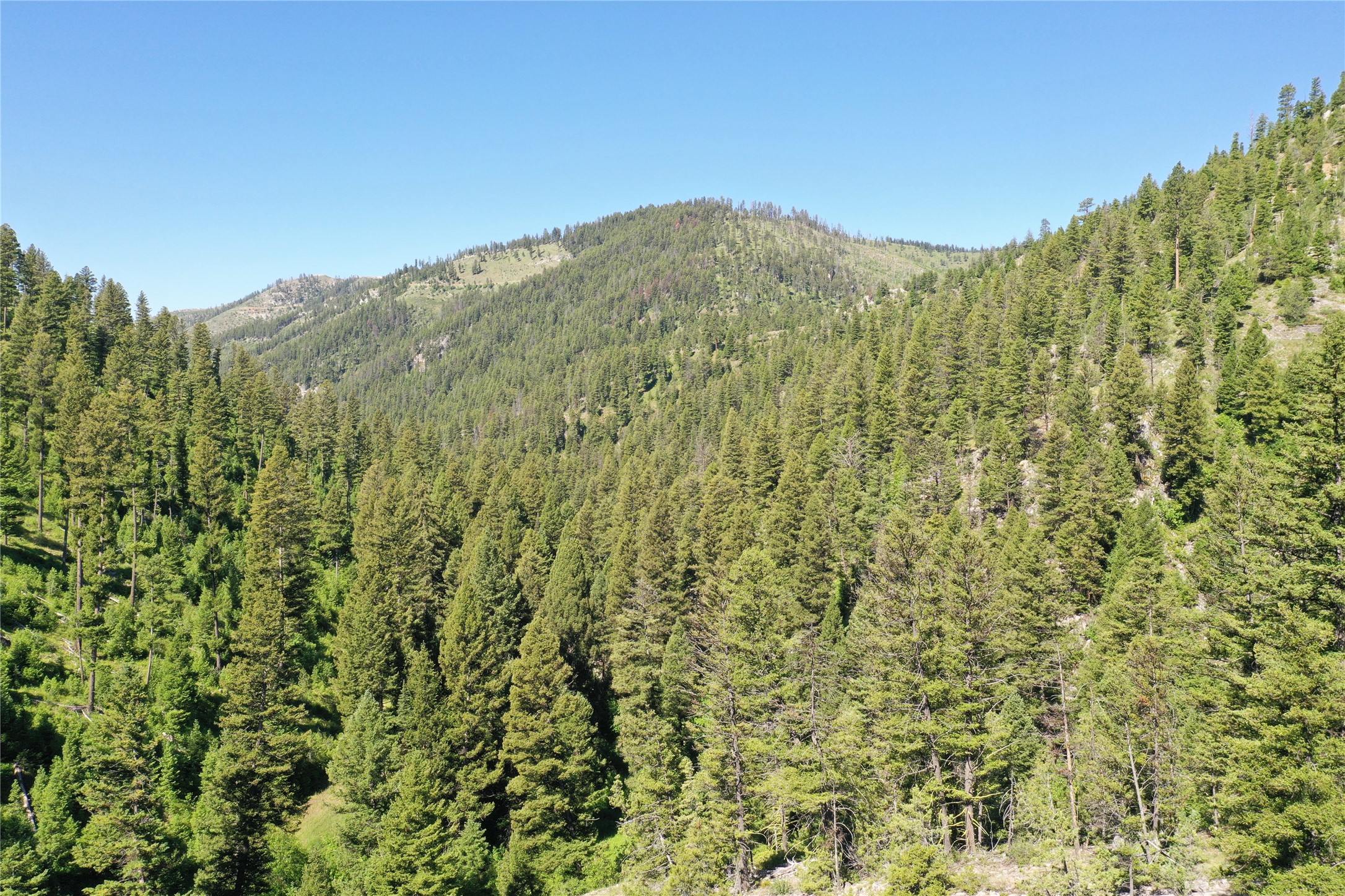 4-7 Tract, Garnet Range Property Photo 7