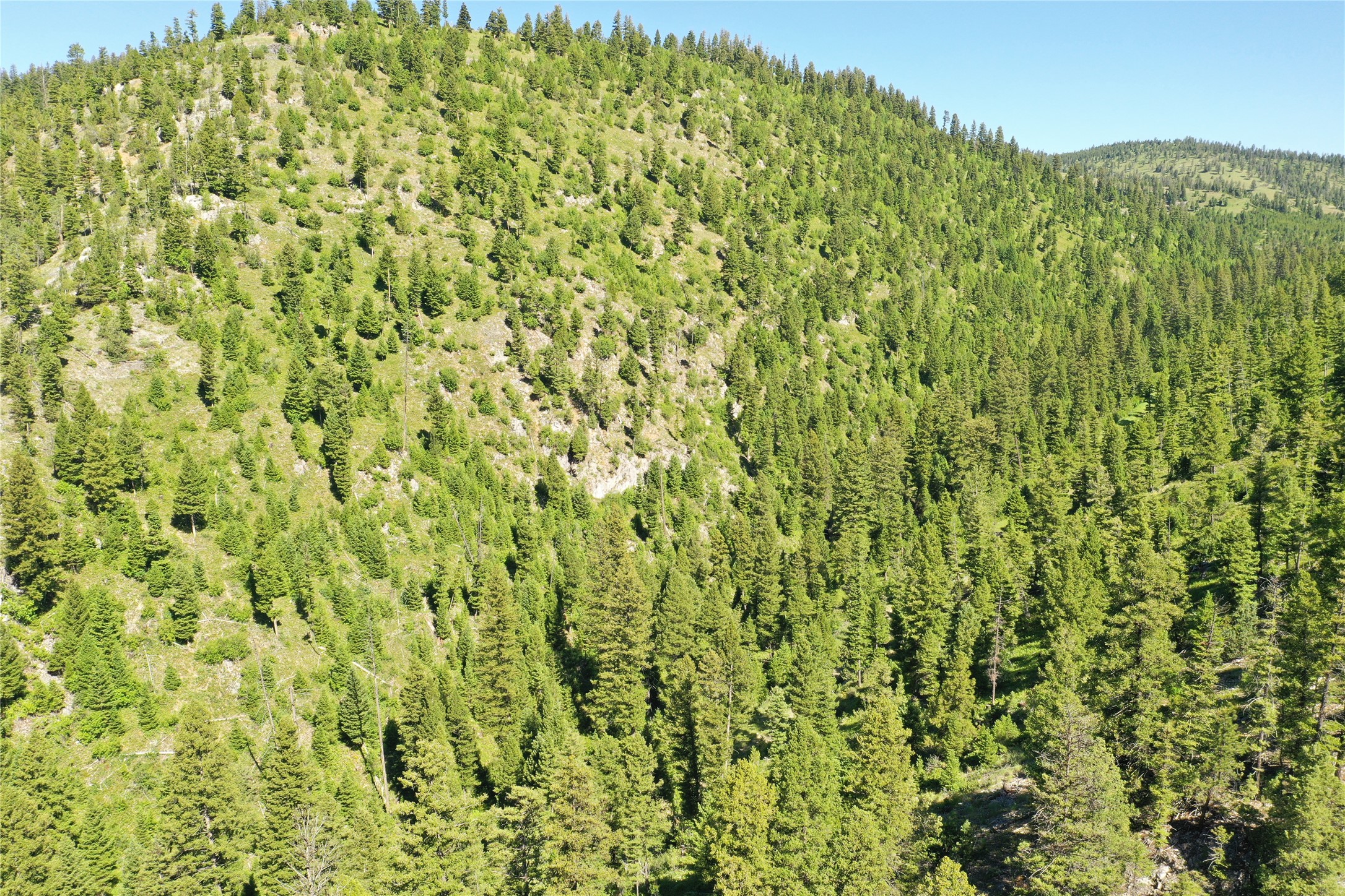 4-7 Tract, Garnet Range Property Photo 9
