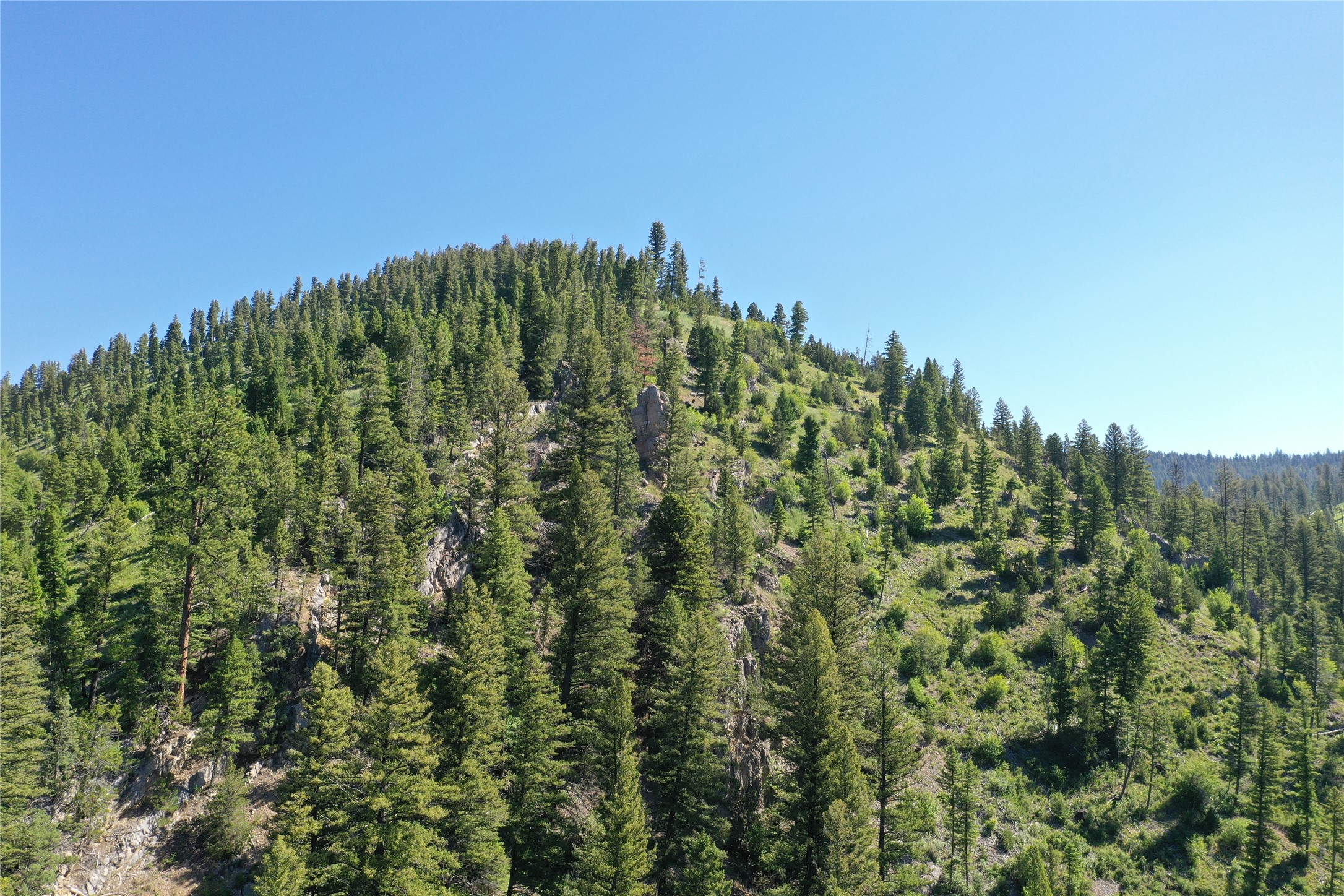 4-7 Tract, Garnet Range Property Photo 10