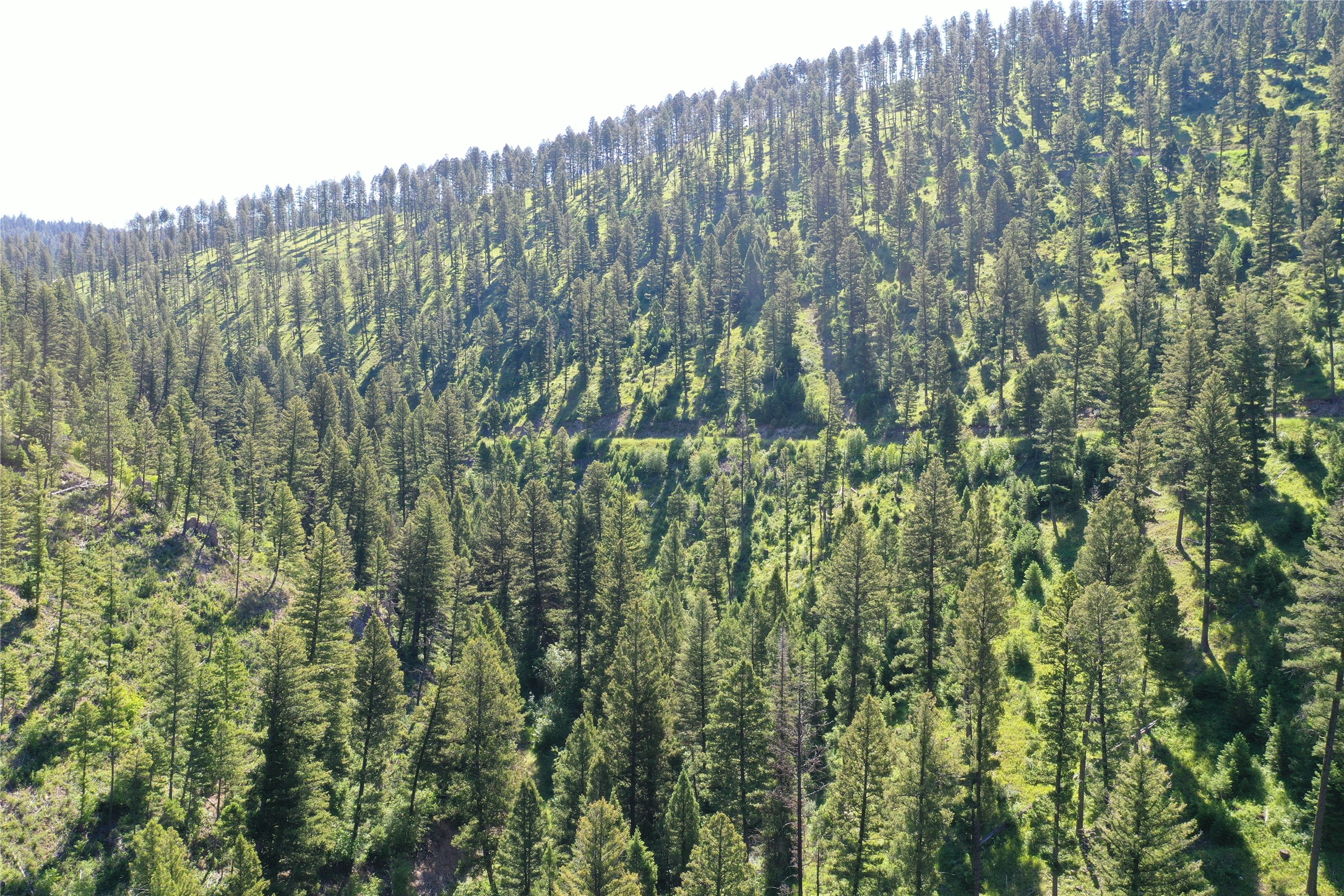 4-7 Tract, Garnet Range Property Photo 11