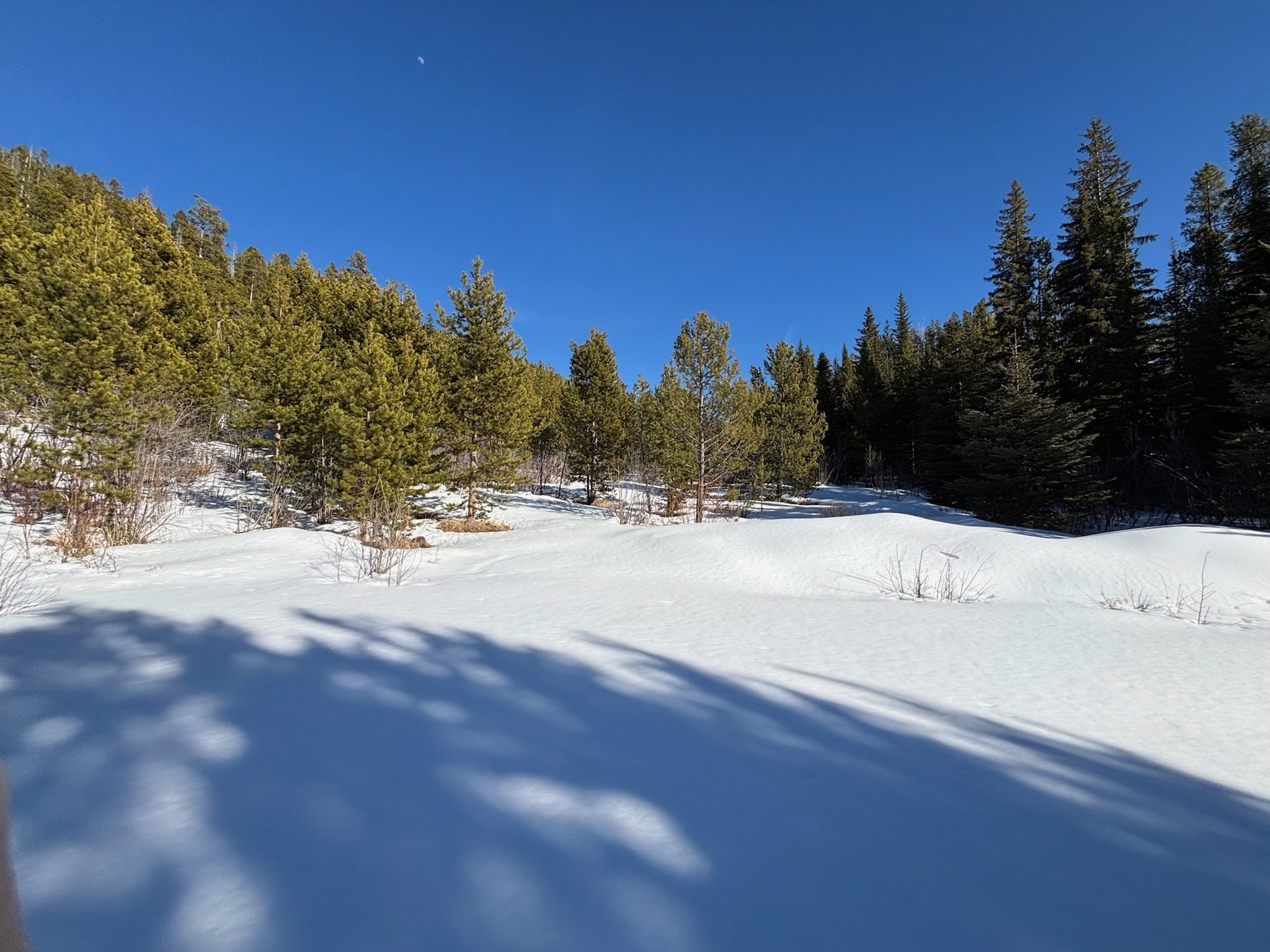 121 S Granite Road Property Photo 3
